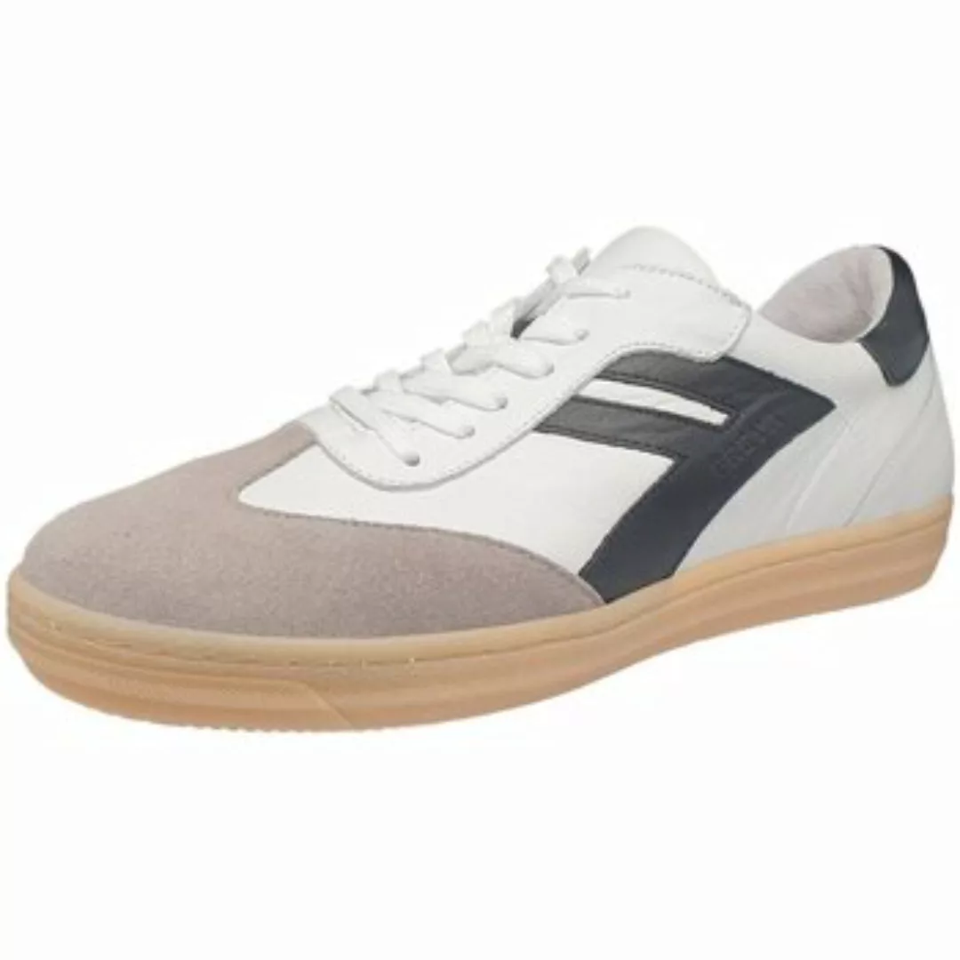 Andrea Conti  Halbschuhe Schnuerschuhe Da.-Sneaker 0067151/1664 günstig online kaufen