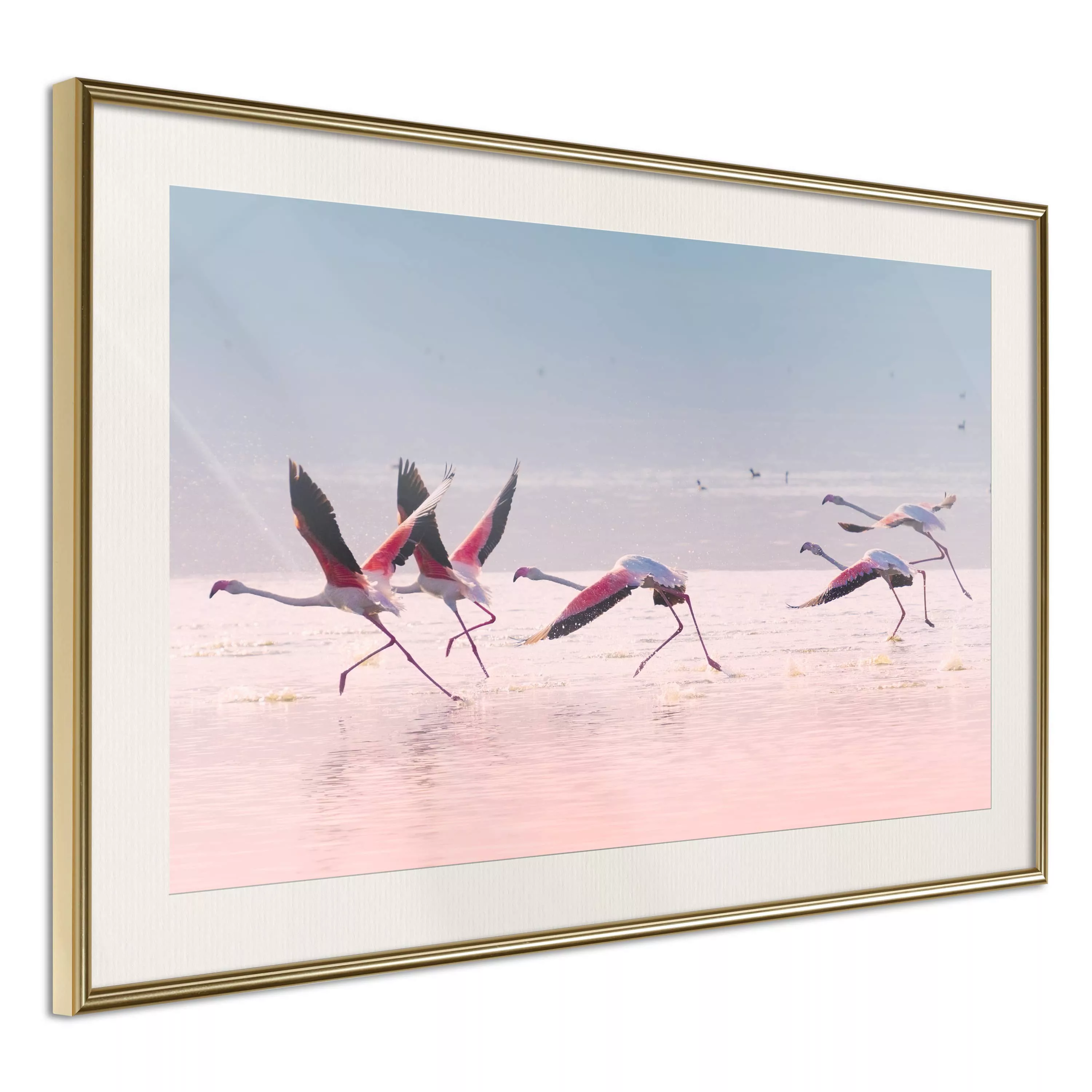 Poster - Flamingos Breaking Into A Flight günstig online kaufen