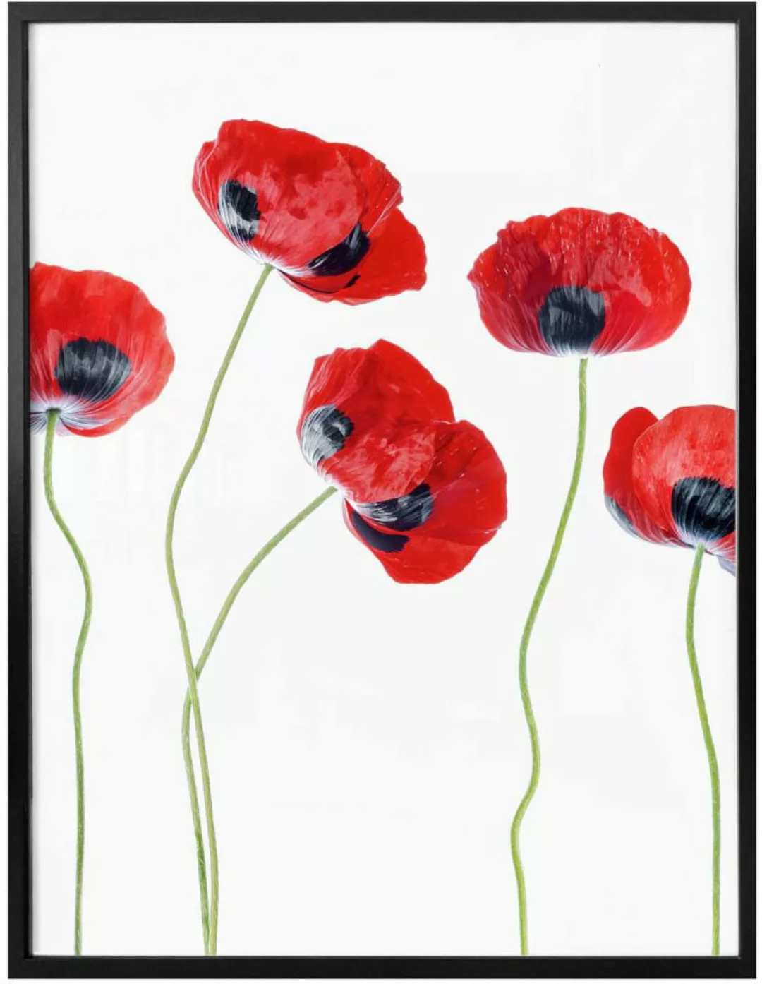 Wall-Art Poster »Mohnblumen«, Blumen, (1 St.), Poster ohne Bilderrahmen günstig online kaufen