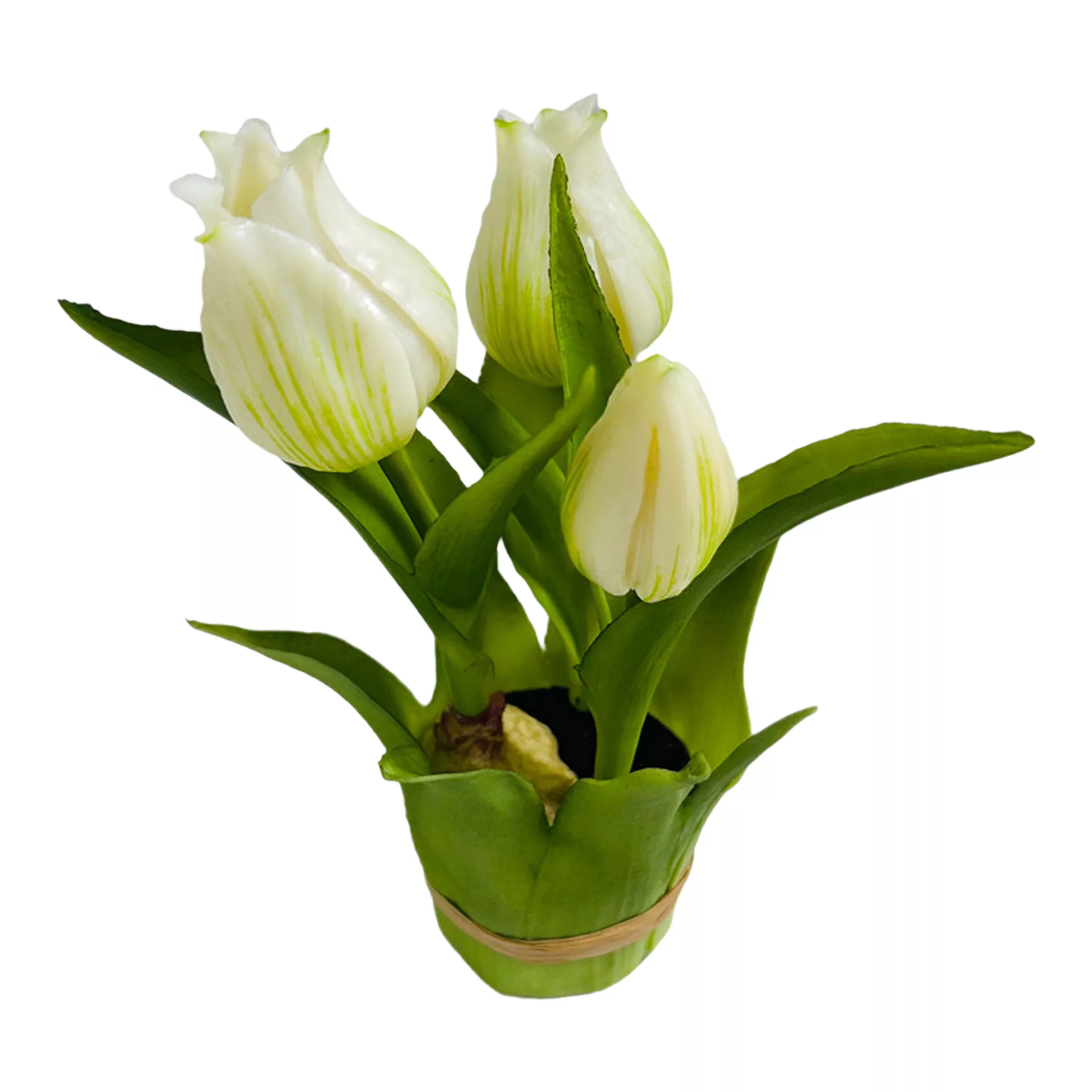 Tulpe im Blatttopf ca. 20cm, weiss günstig online kaufen