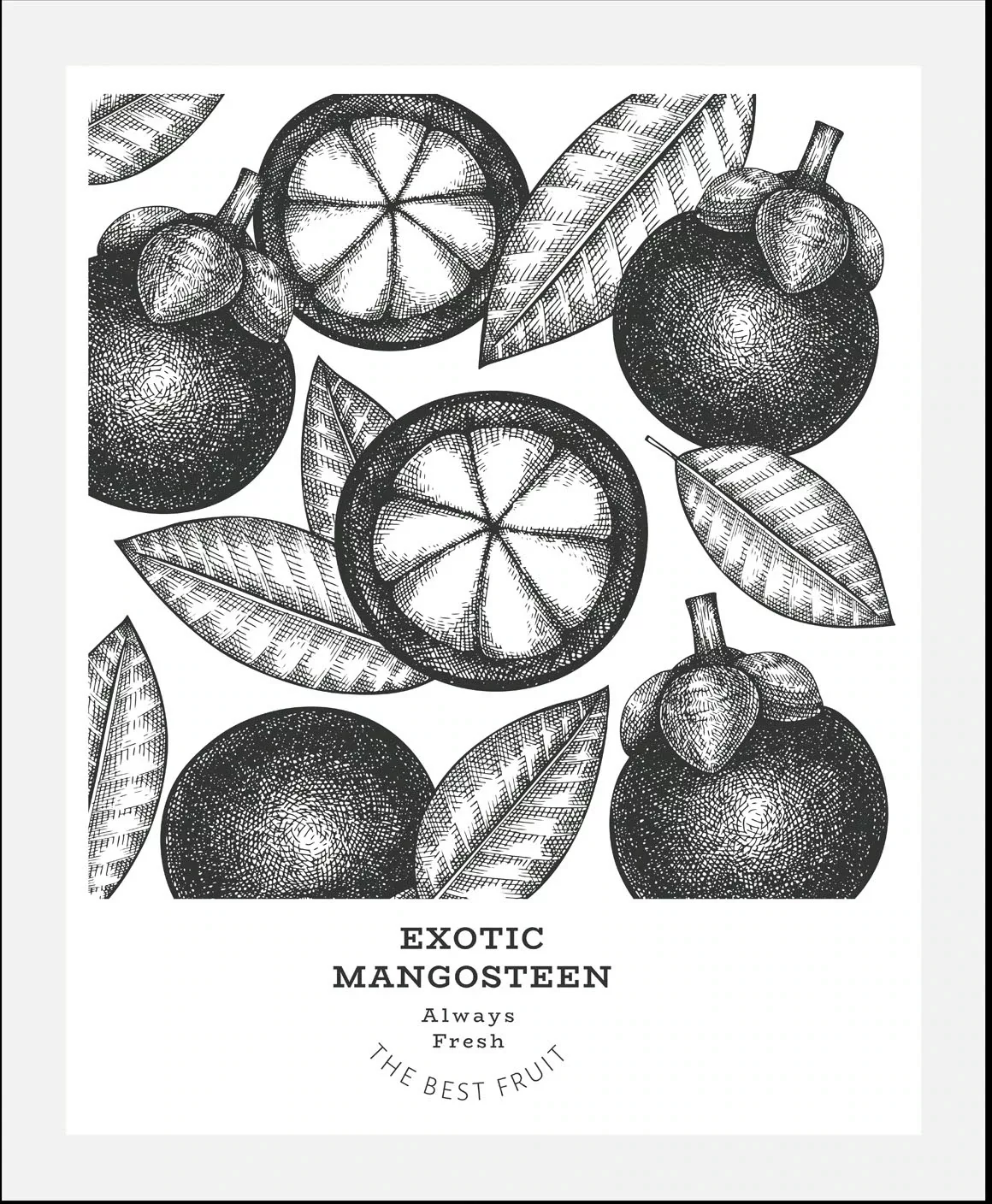 queence Bild »Exotic Mangosteen«, (1 St.), gerahmt günstig online kaufen