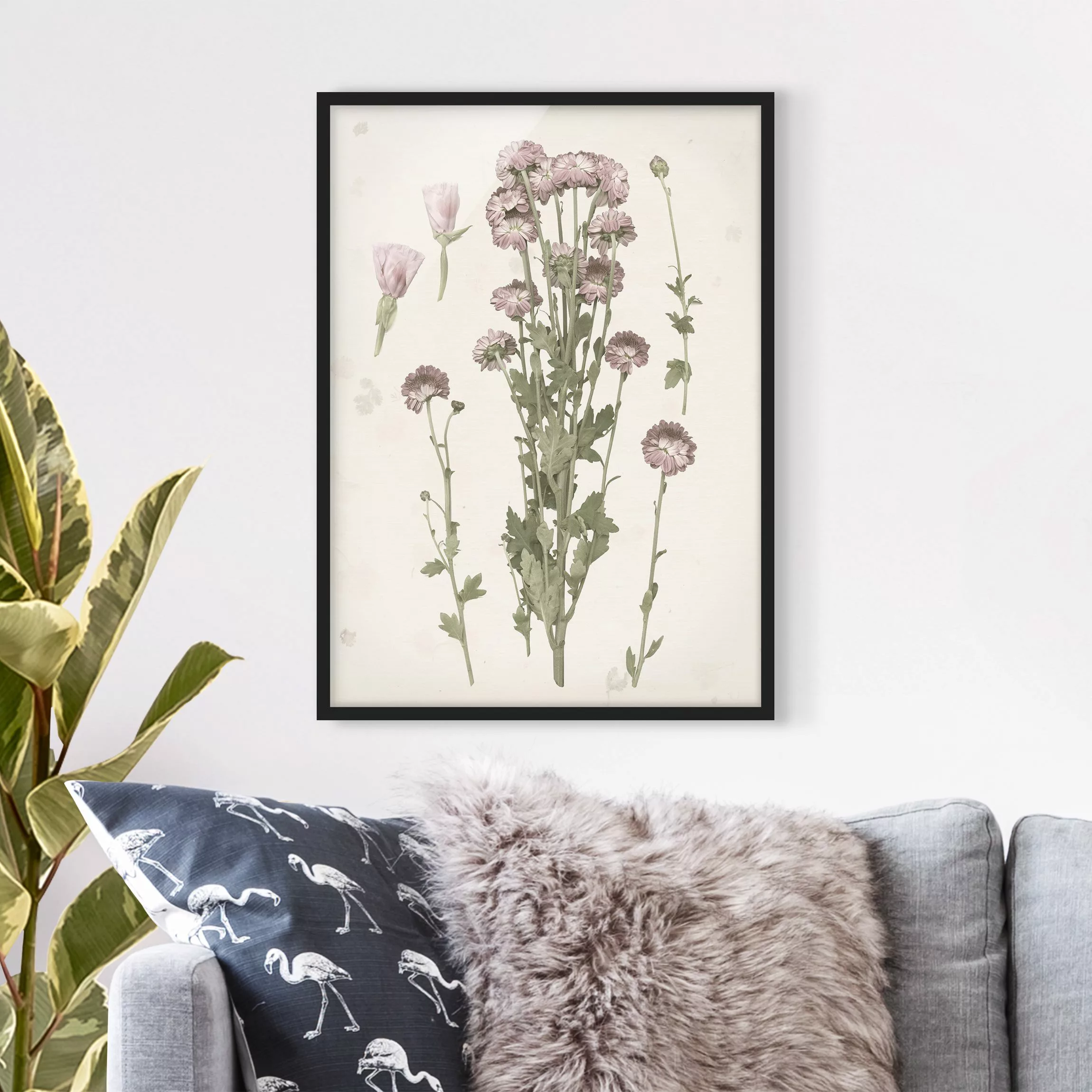 Bild mit Rahmen Blumen - Hochformat Herbarium in rosa I günstig online kaufen