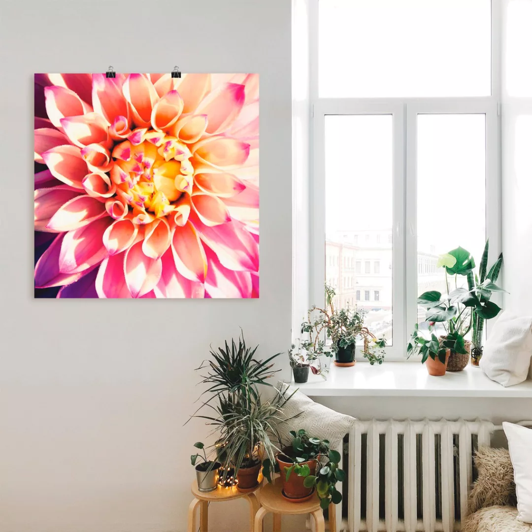 Artland Wandbild "Dahlie", Blumen, (1 St.), als Leinwandbild, Poster in ver günstig online kaufen