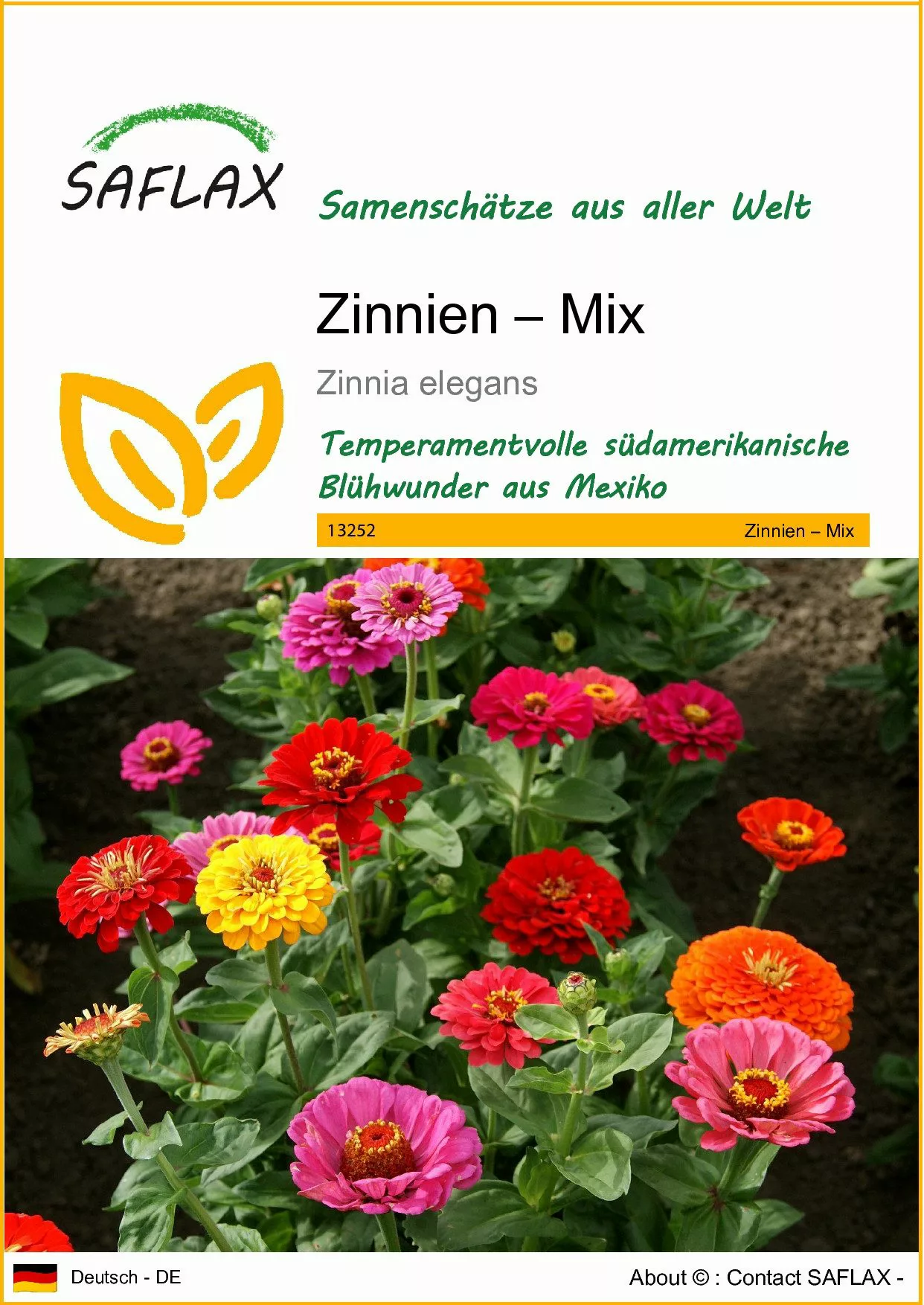 SAFLAX Blumensamen SAFLAX - Samen - günstig online kaufen