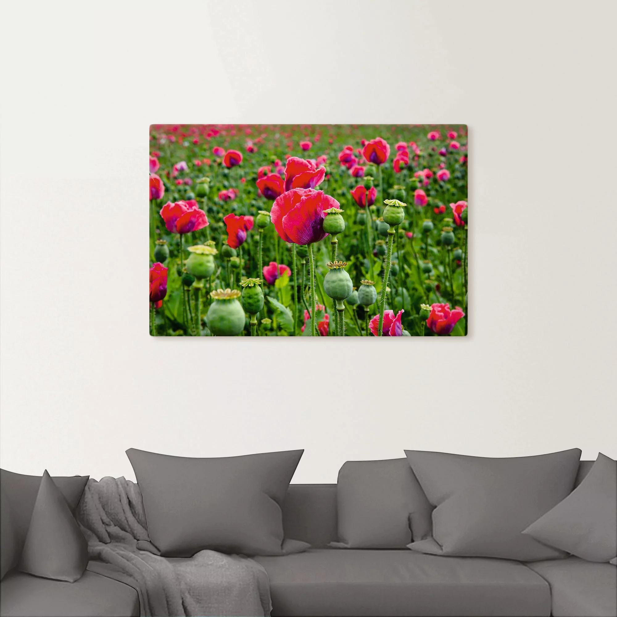 Artland Leinwandbild »Mohnblumen Nahaufnahme«, Blumenwiese, (1 St.), auf Ke günstig online kaufen
