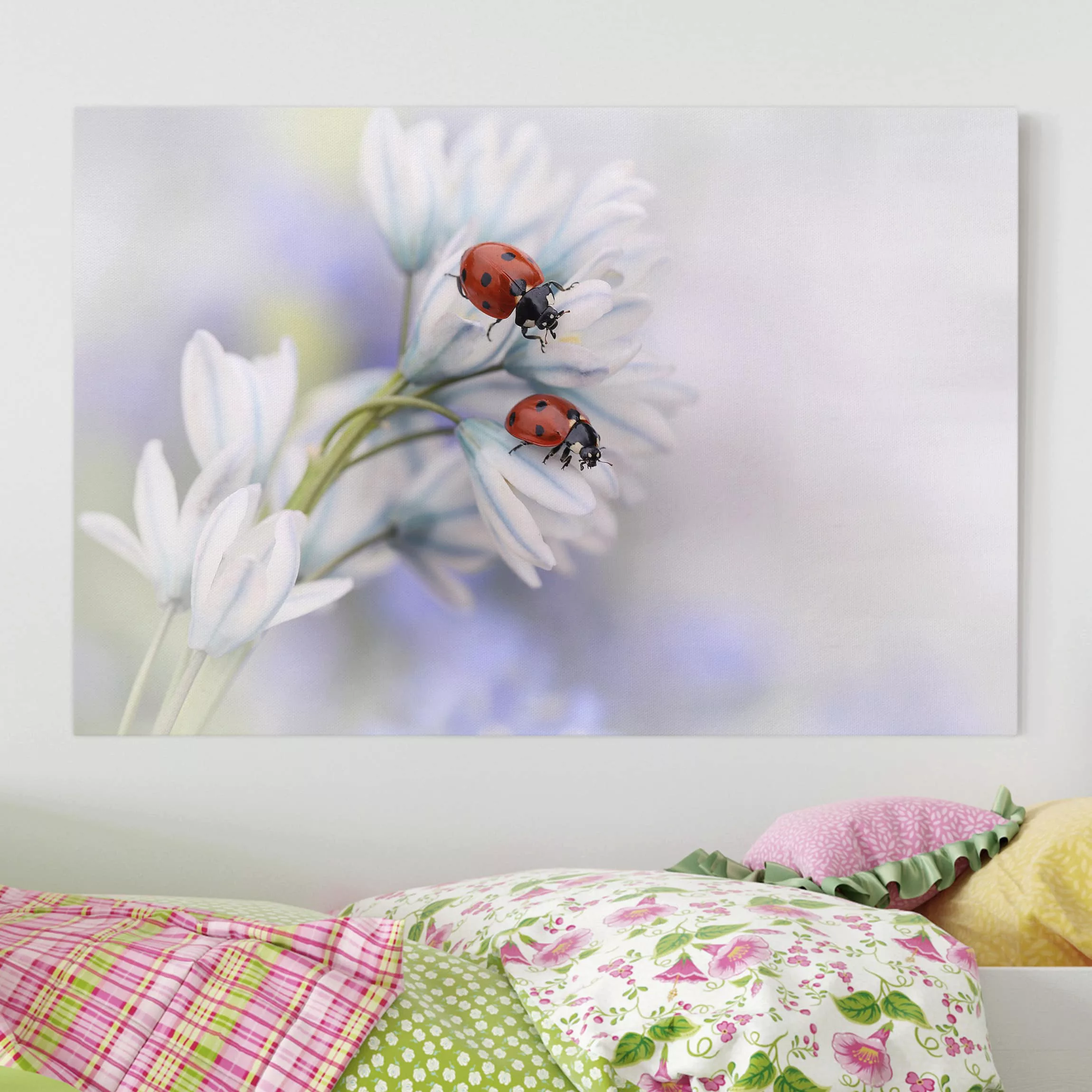 Leinwandbild Blumen - Querformat Marienkäfer Paar günstig online kaufen