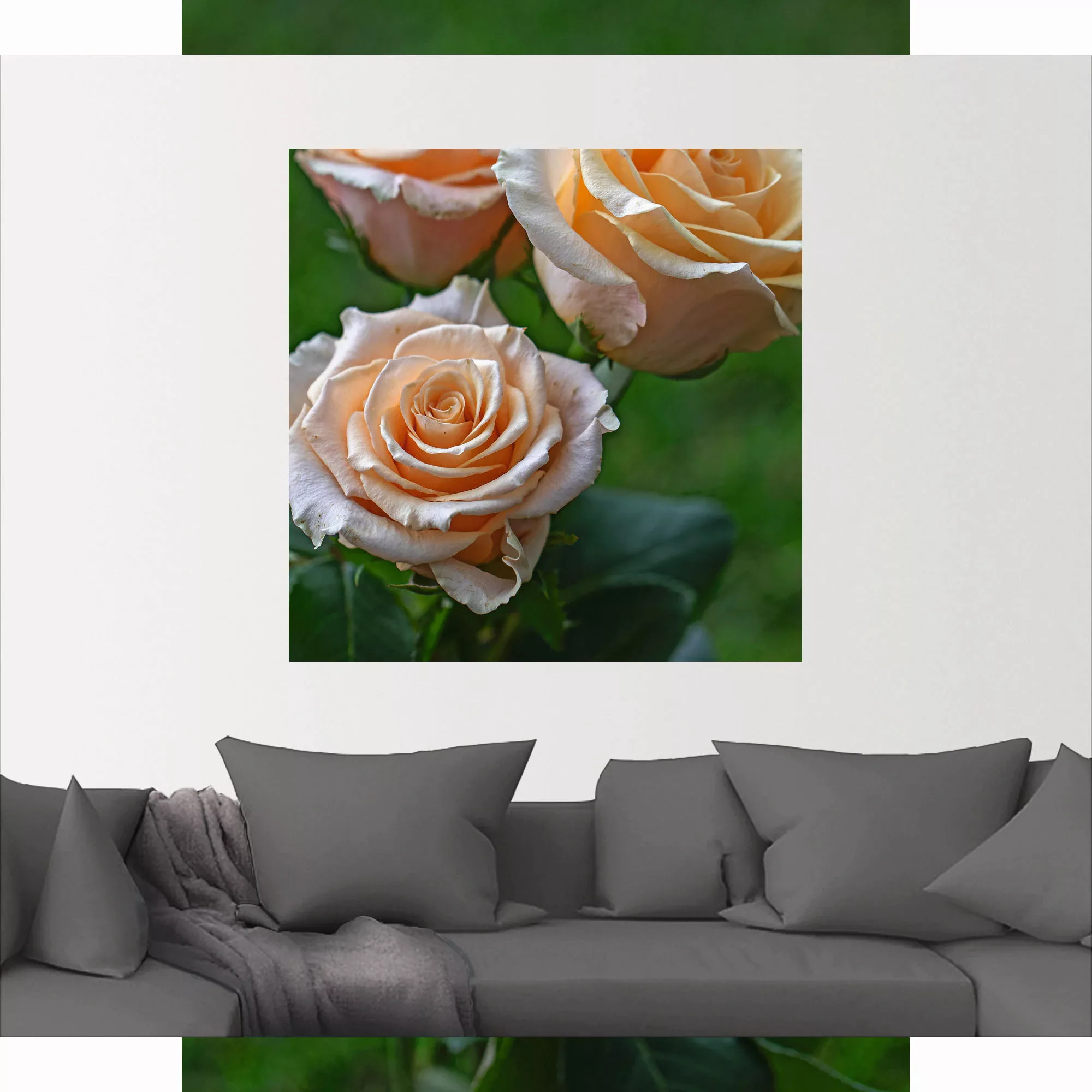 Artland Wandfolie »wunderschöne Rosen«, Blumenbilder, (1 St.) günstig online kaufen