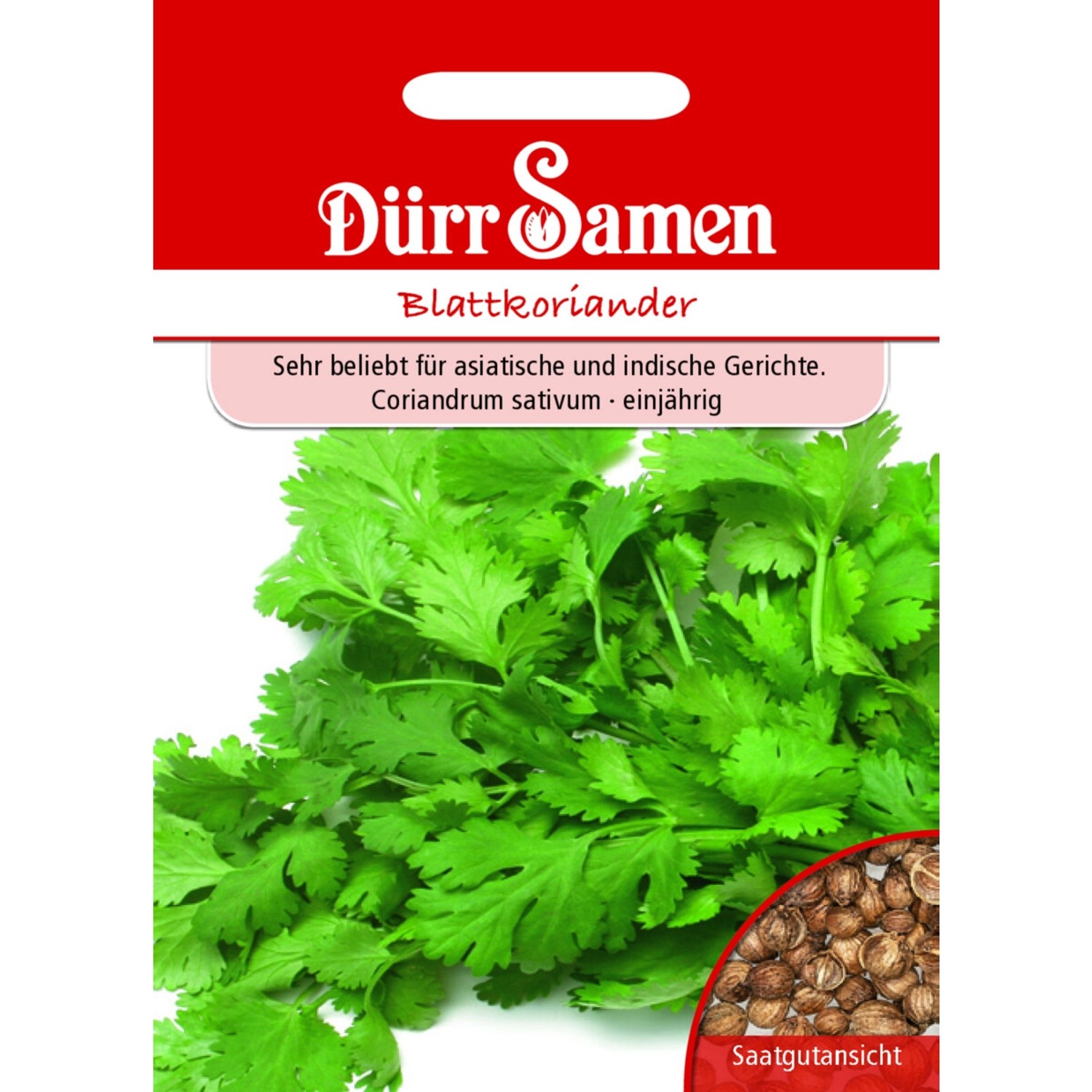 Dürr Samen Blattkoriander Saatgut günstig online kaufen