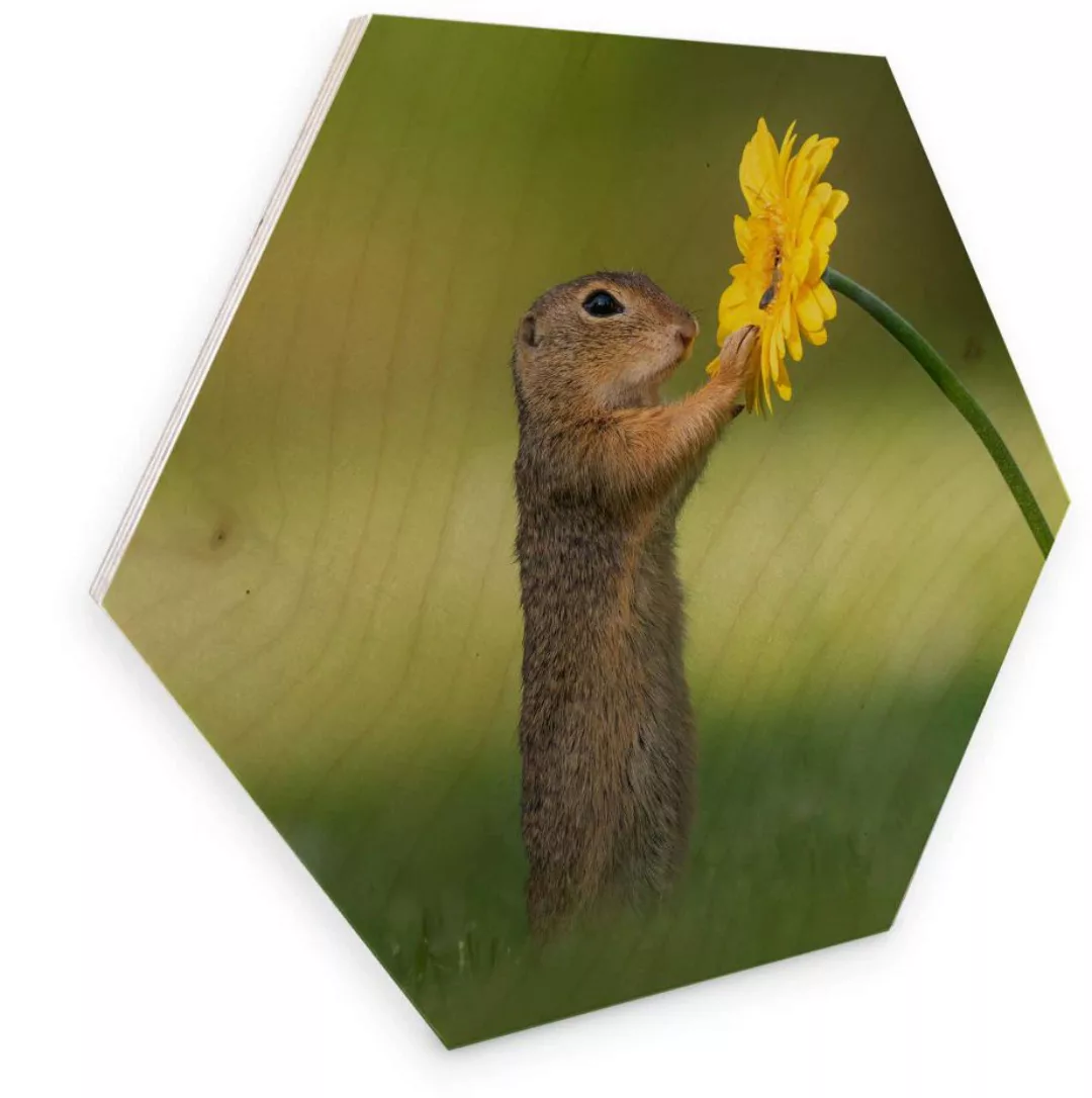 Wall-Art Holzbild "Eichhörnchen Holzbild Blumen", (1 St.) günstig online kaufen