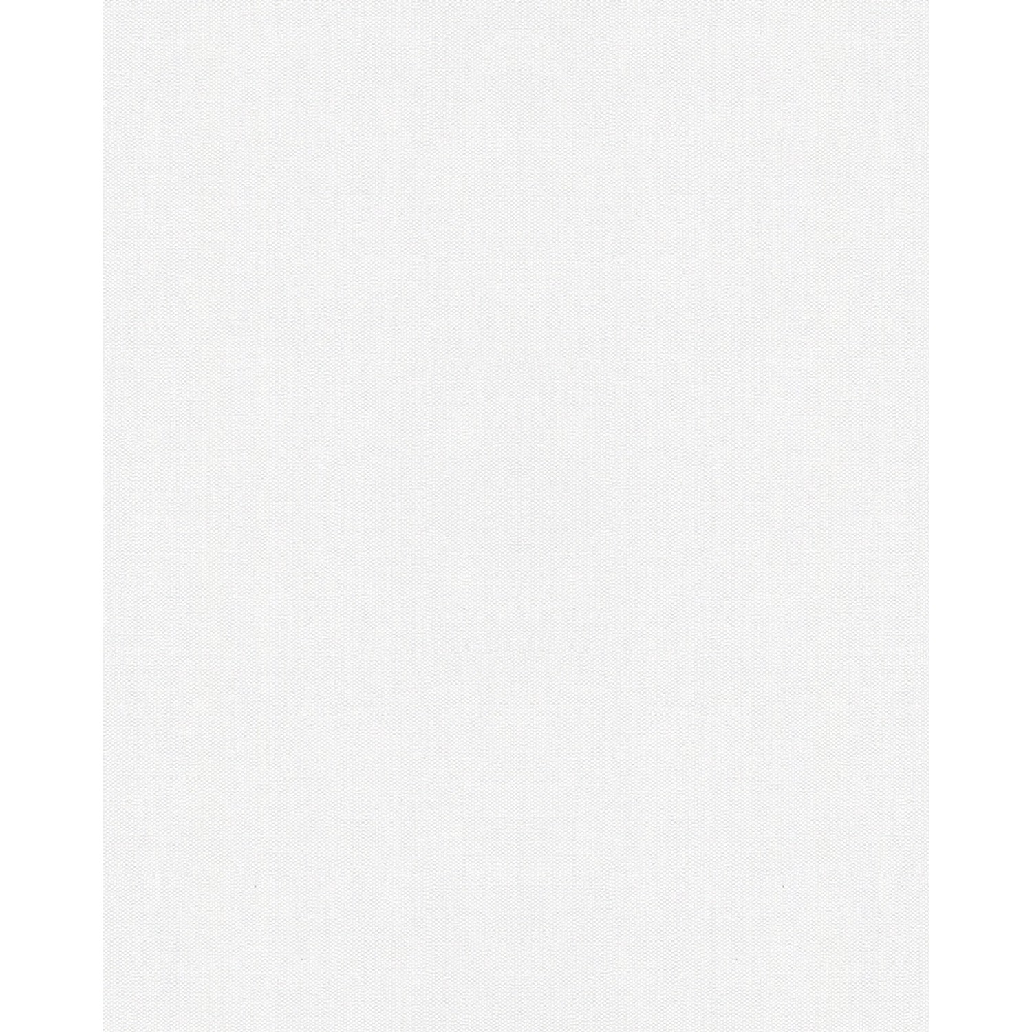 Marburg Vliestapete Uni Feder Weiß 10,05 m x 0,53 m FSC® günstig online kaufen