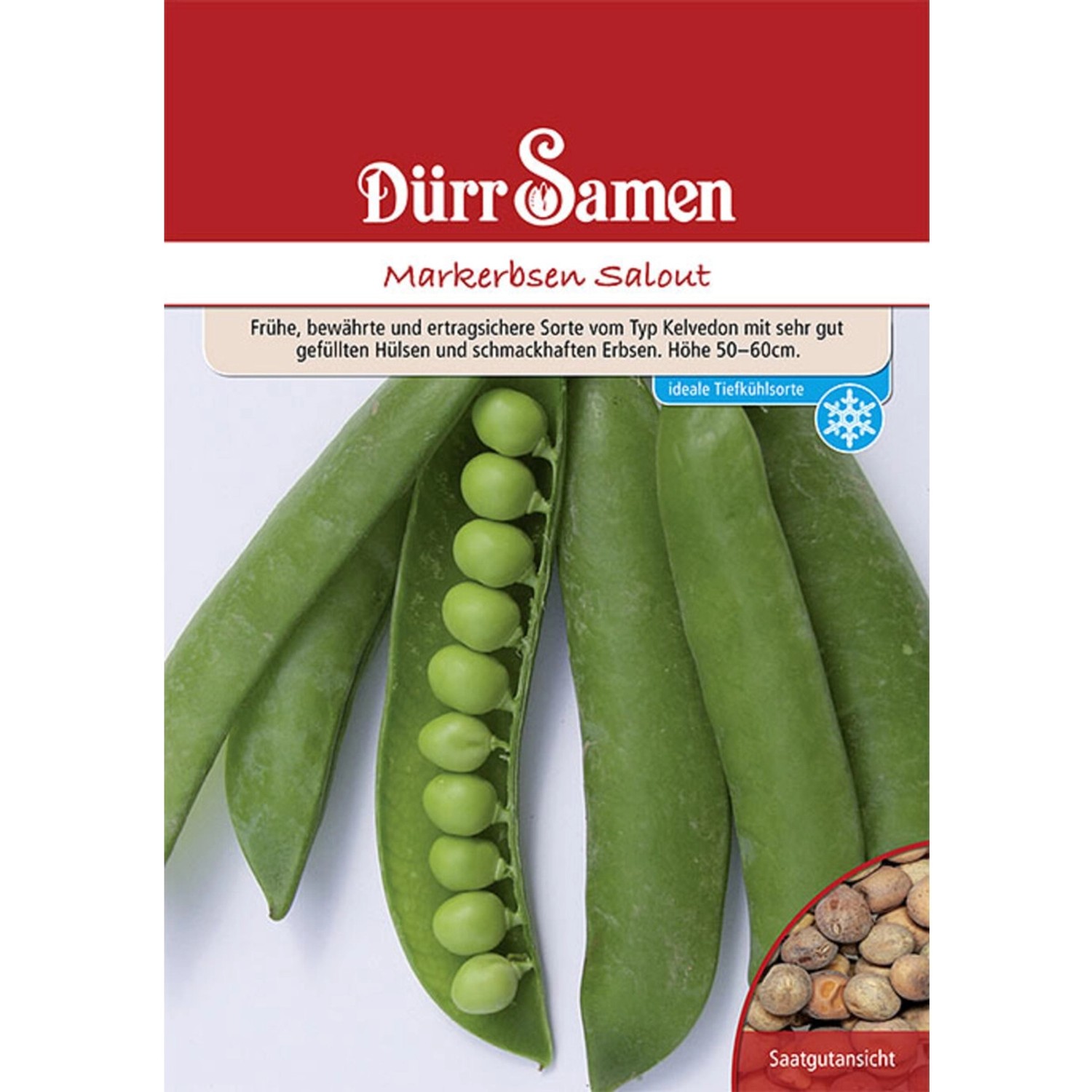 Dürr Samen Markerbsen Salout 250 G Saatgut günstig online kaufen