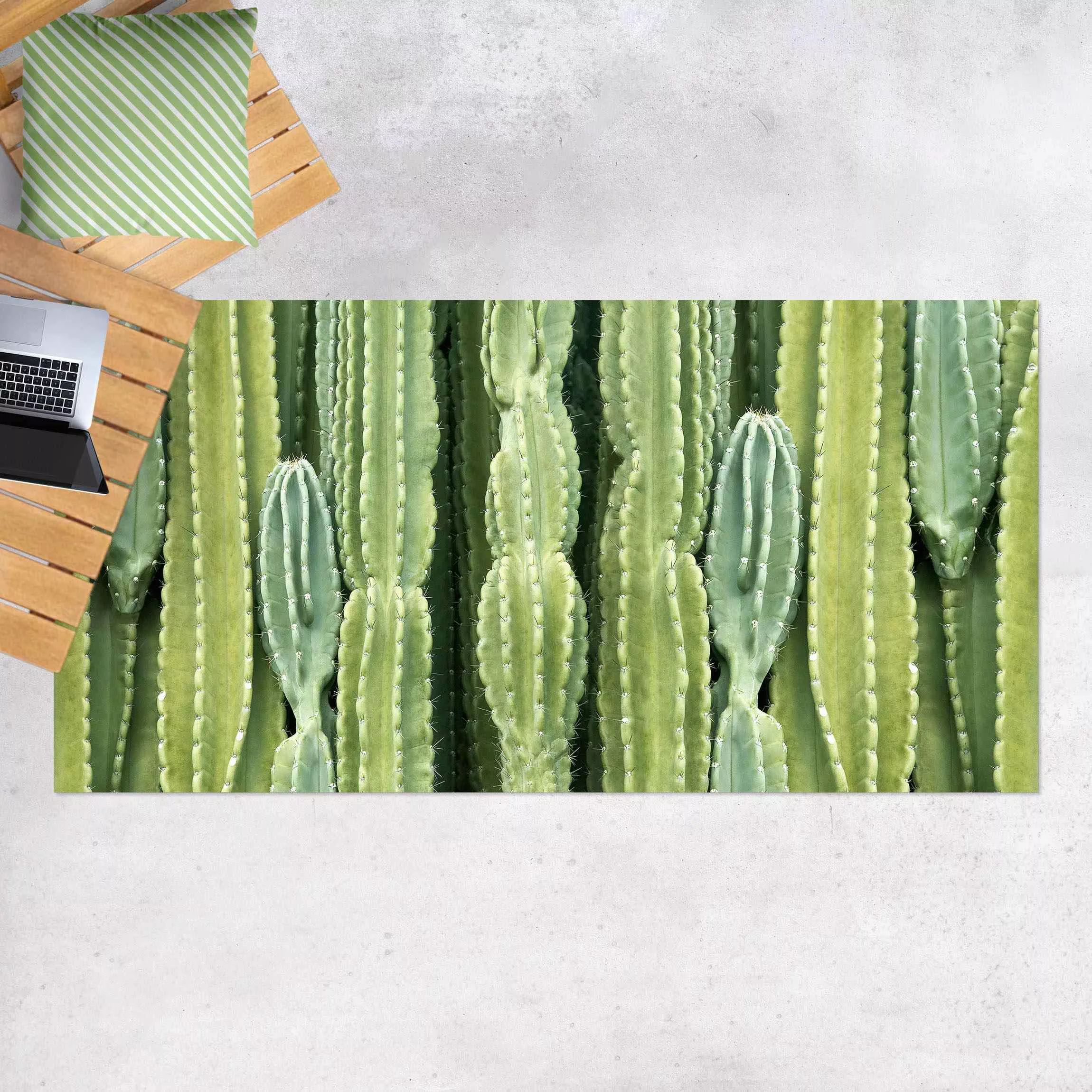Vinyl-Teppich Kaktus Wand günstig online kaufen