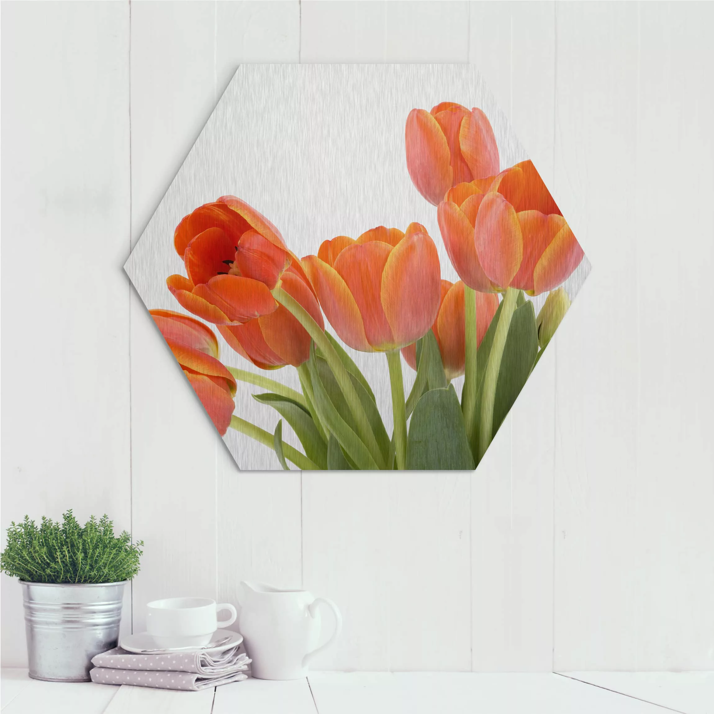 Hexagon-Alu-Dibond Bild Blumen No.191 Tulpen günstig online kaufen