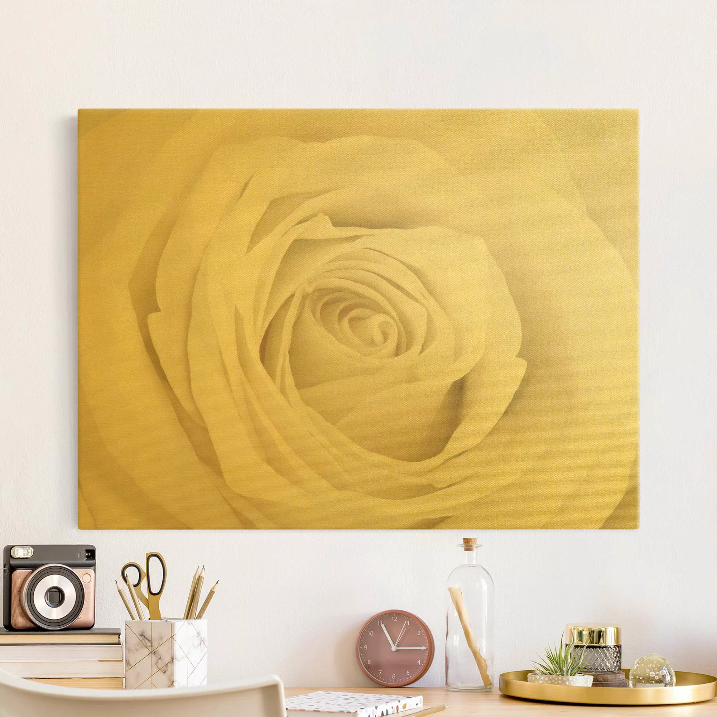 Leinwandbild Pretty White Rose günstig online kaufen