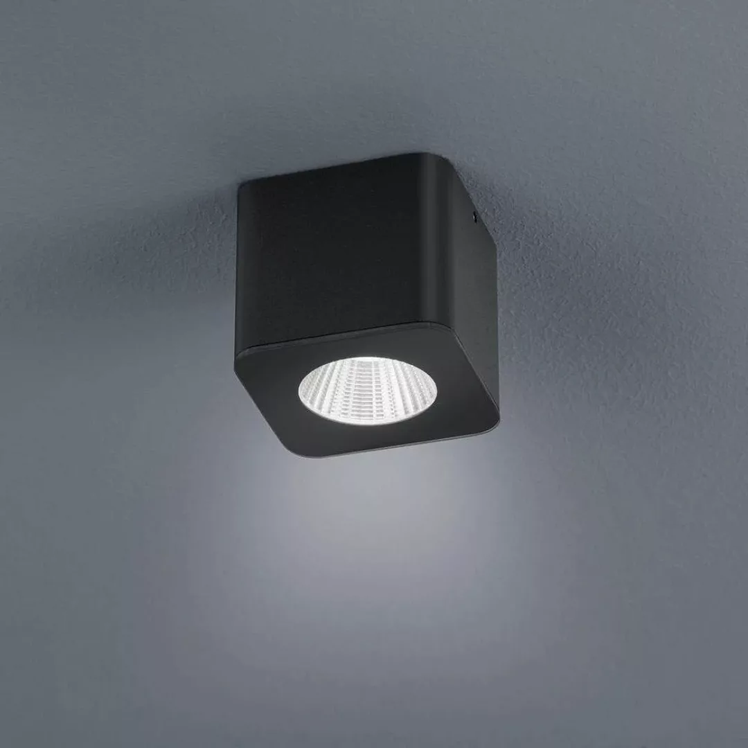 LED Deckenspot Oso in Schwarz-matt 7,5W 370lm IP44 günstig online kaufen