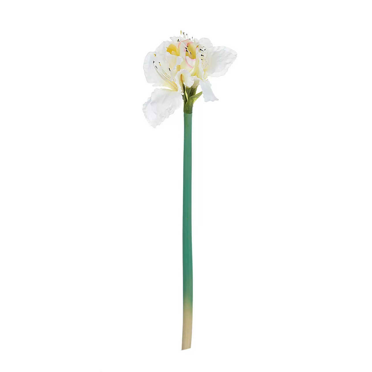 Kunstblume Amaryllis White 75cm, 75 cm günstig online kaufen