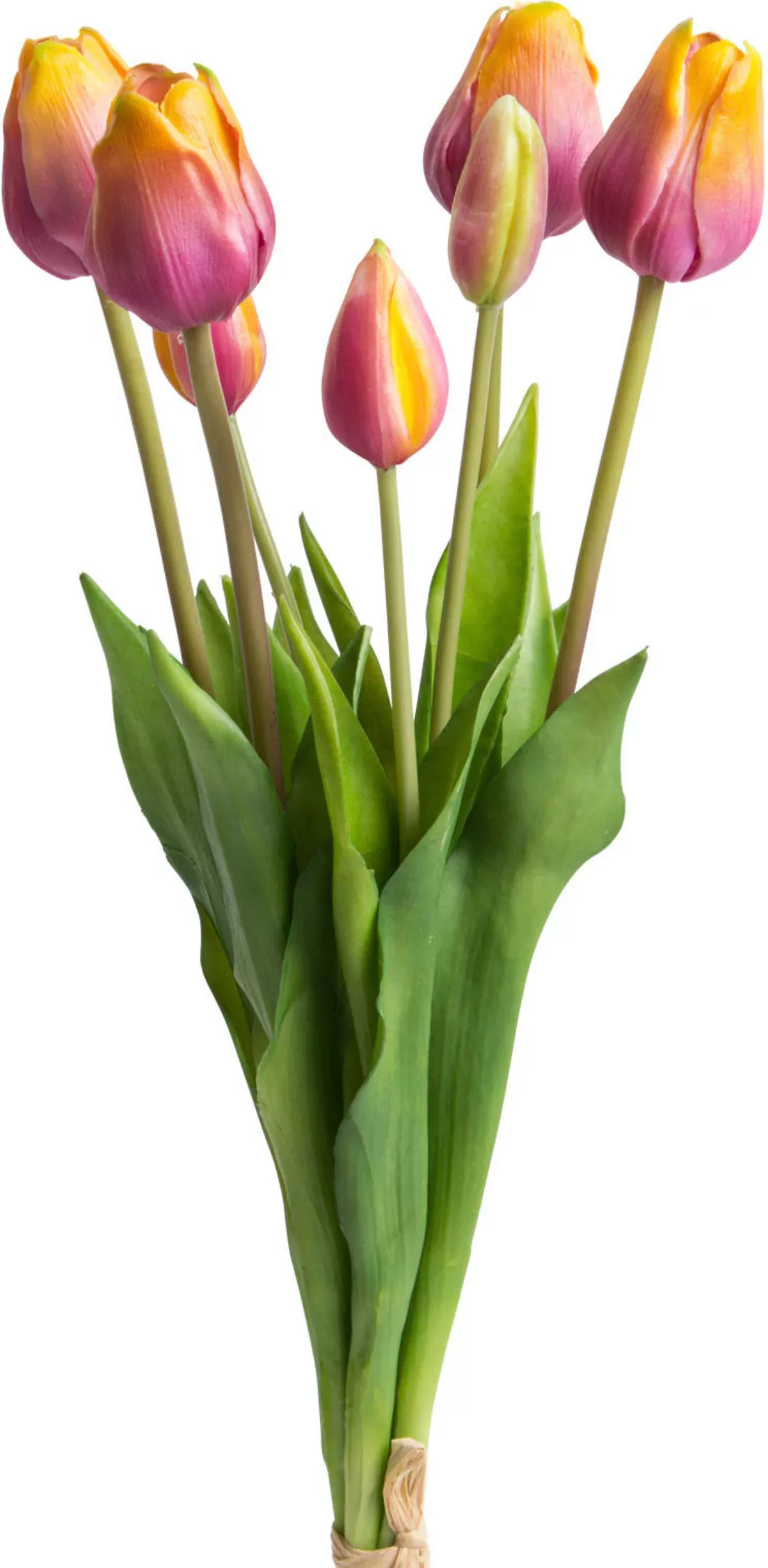 Botanic-Haus Kunstblume "Tulpenbündel real Touch" günstig online kaufen