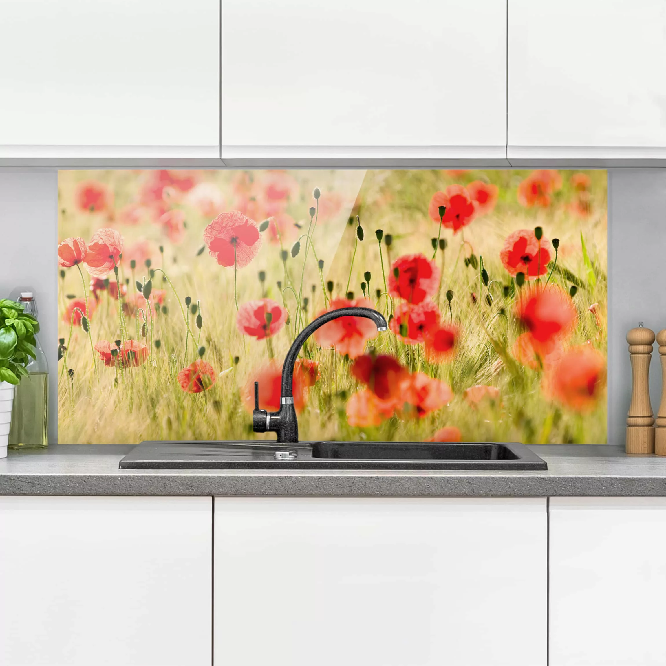 Glas Spritzschutz - Querformat 2:1 Summer Poppies günstig online kaufen