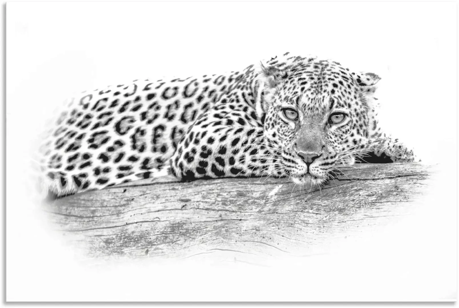 Artland Wandbild "Leopard High Key Optik", Wildtiere, (1 St.) günstig online kaufen