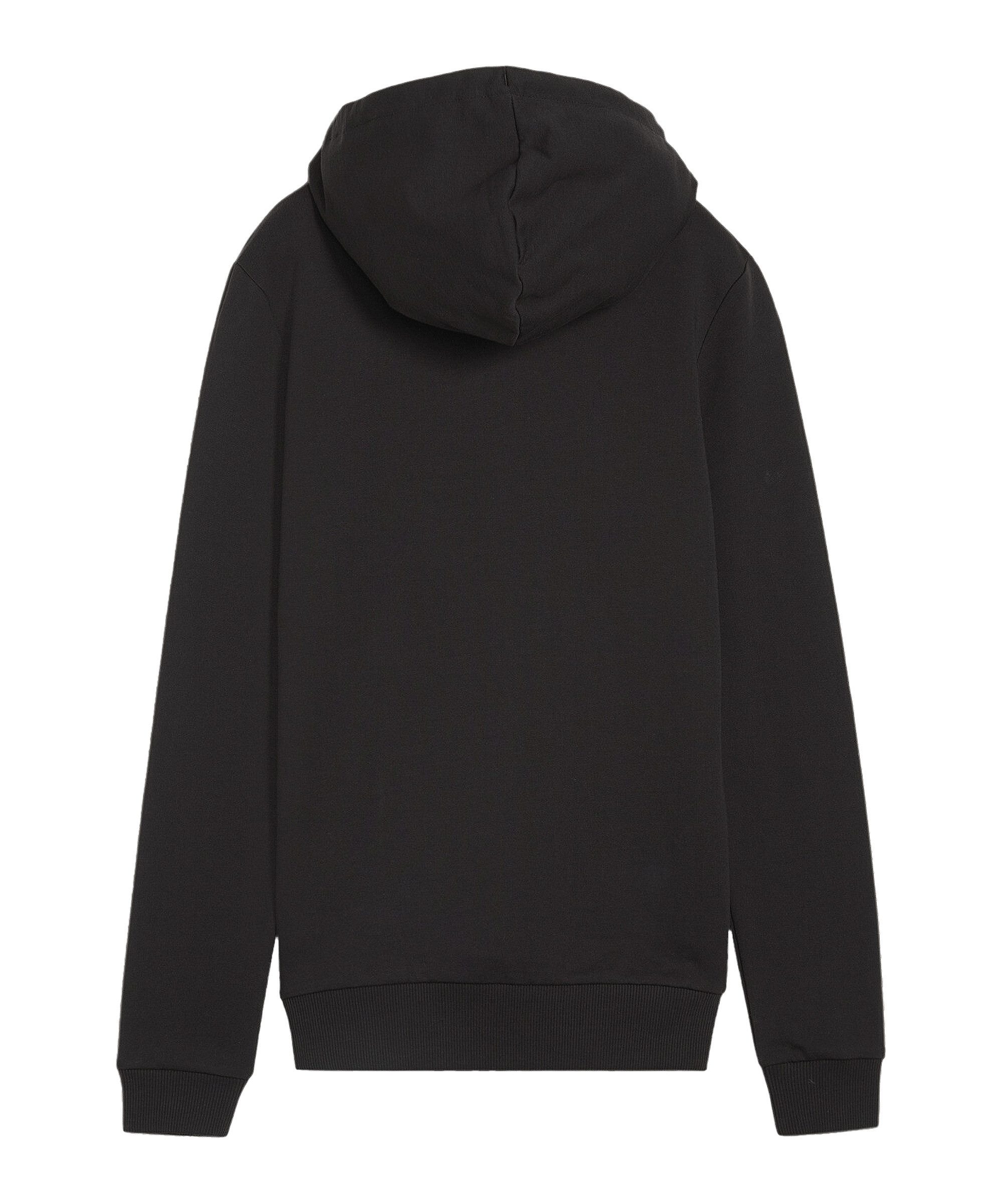 PUMA Sweater PUMA teamGOAL Casuals Hoody günstig online kaufen
