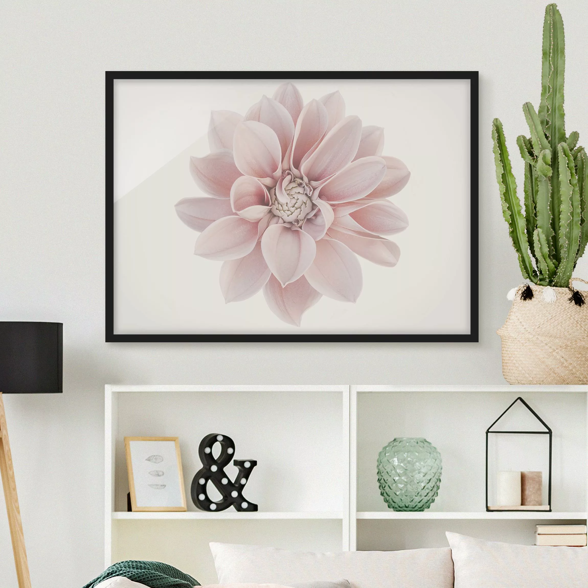 Bild mit Rahmen Dahlie Blume Pastell Weiß Rosa günstig online kaufen