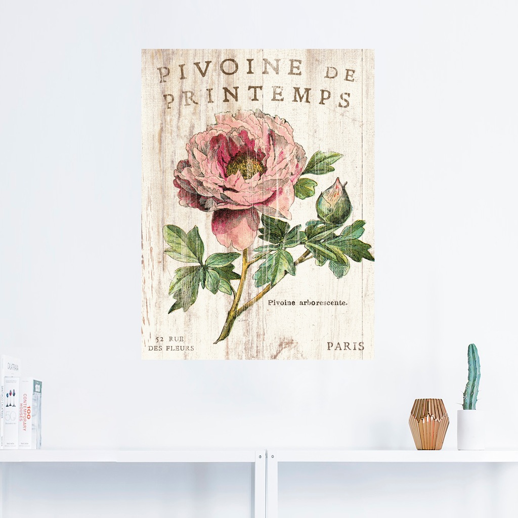 Artland Wandbild »Pfingstrose«, Blumen, (1 St.), als Leinwandbild, Poster, günstig online kaufen