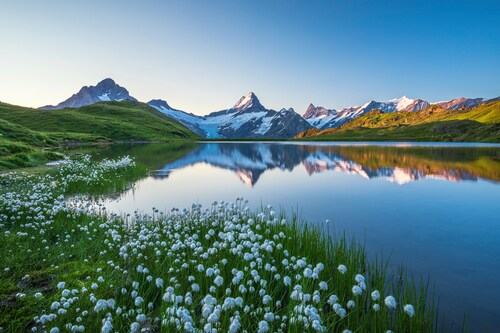 Papermoon Fototapete »LANDSCHAFT-GEBIRGE BERGE SEE ALPEN BLUMEN NATUR TAPET günstig online kaufen