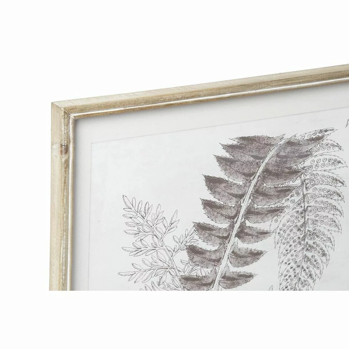 Bild Dkd Home Decor Moderne Botanische Pflanzen (50 X 2,5 X 70 Cm) (8 Stück günstig online kaufen