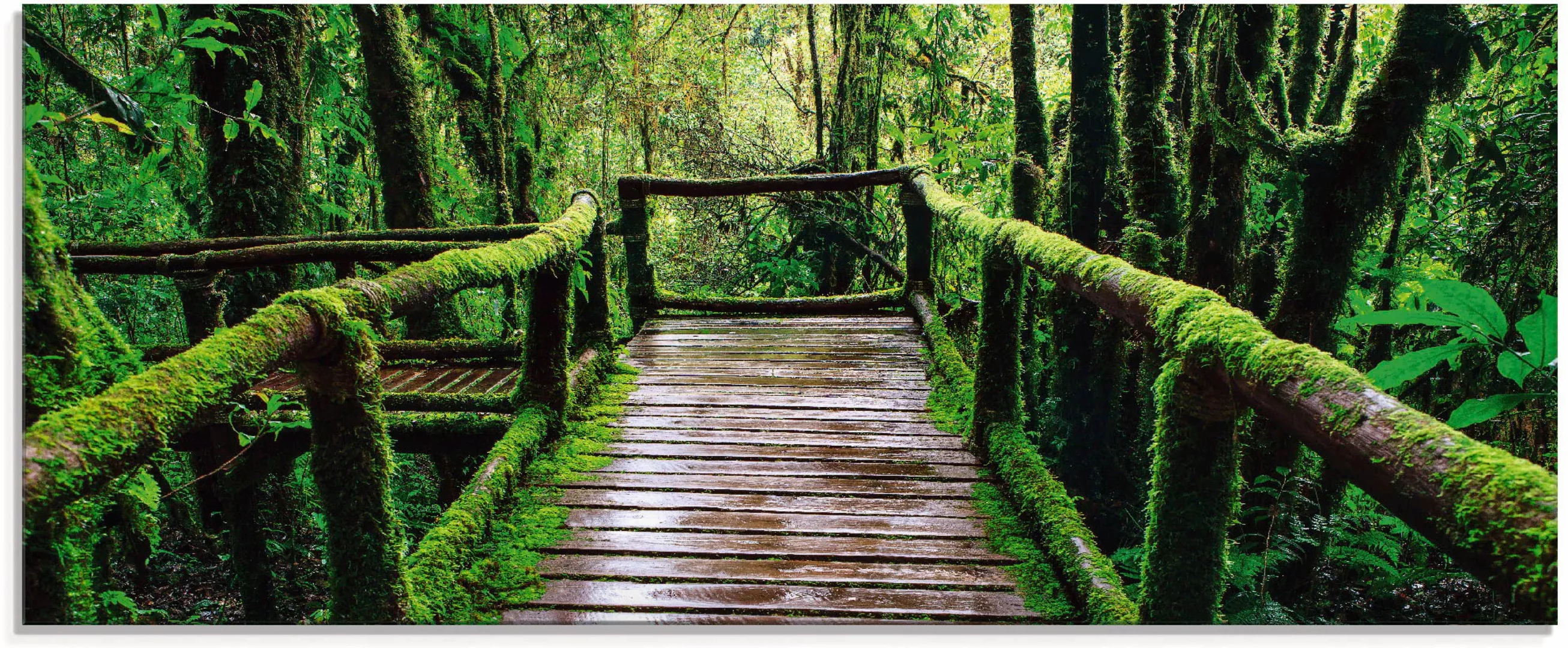 Artland Glasbild »Brückenpfad im Wald«, Asien, (1 St.) günstig online kaufen