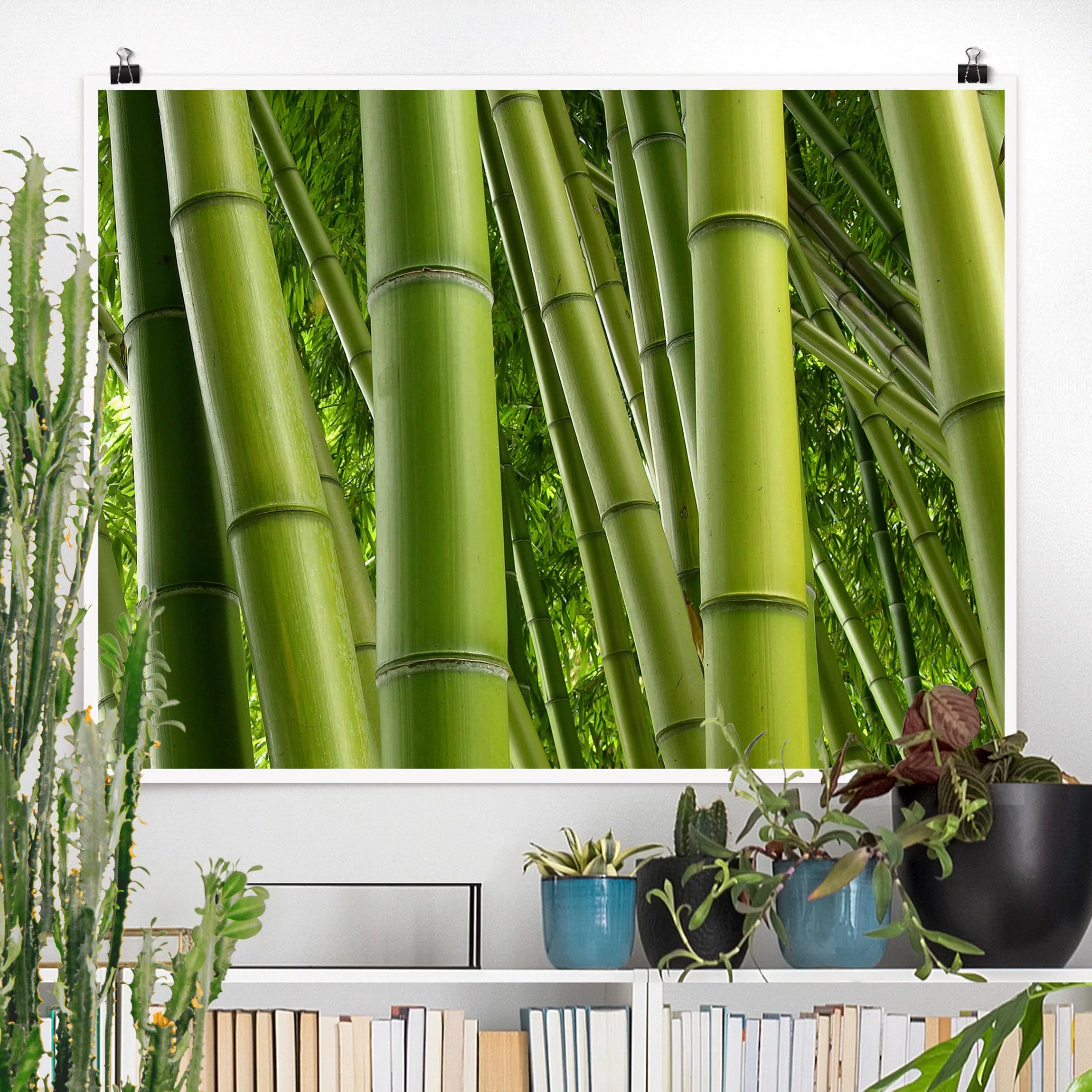 Poster Natur & Landschaft - Querformat Bamboo Trees No.2 günstig online kaufen