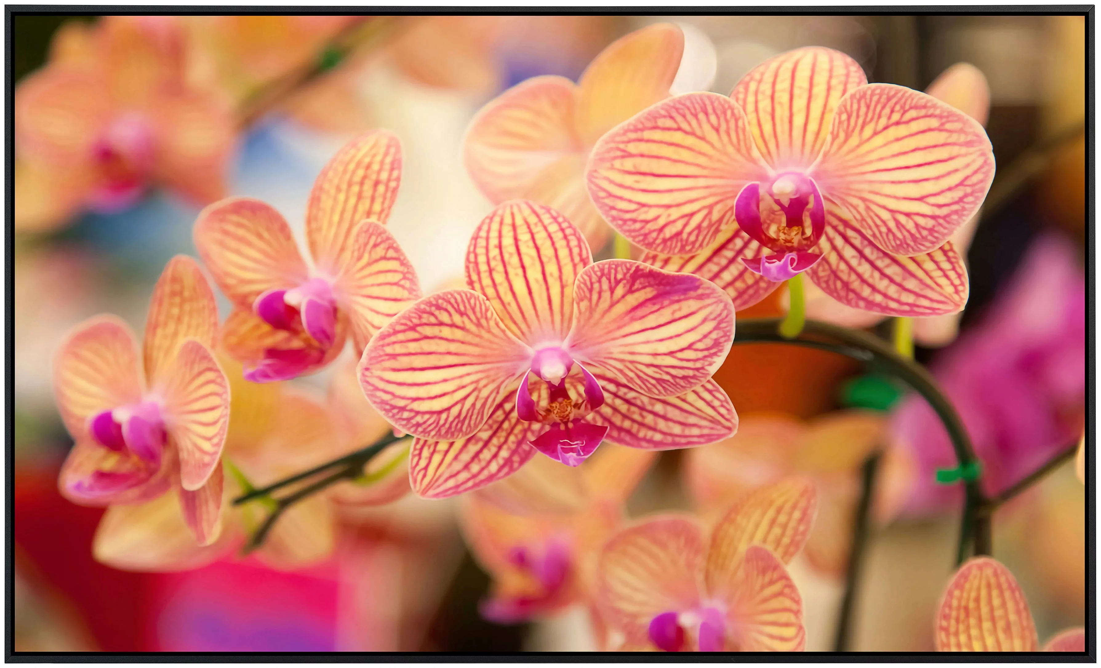 Papermoon Infrarotheizung »Blumen«, sehr angenehme Strahlungswärme günstig online kaufen