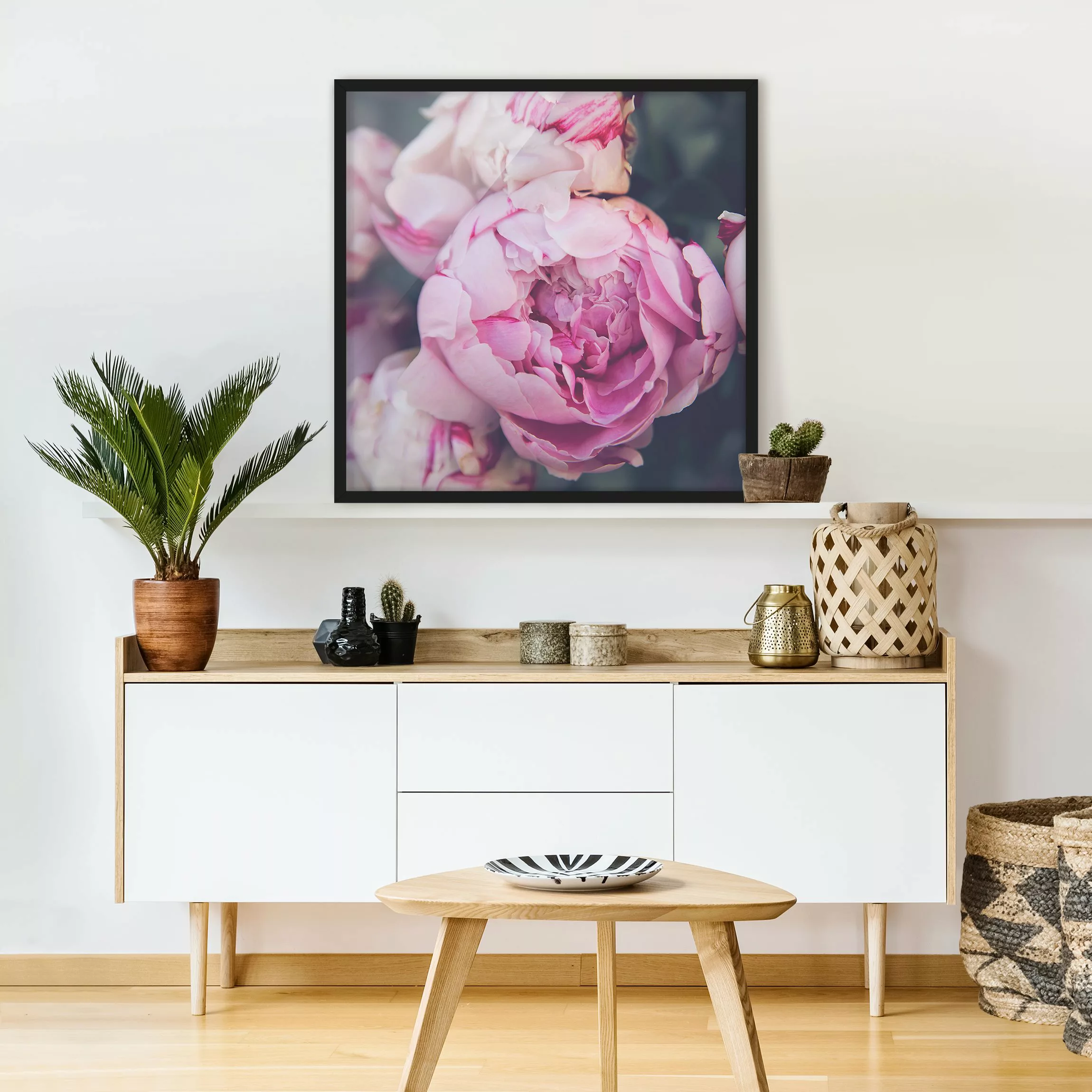 Bild mit Rahmen Blumen - Quadrat Pfingstrosenblüte Shabby günstig online kaufen