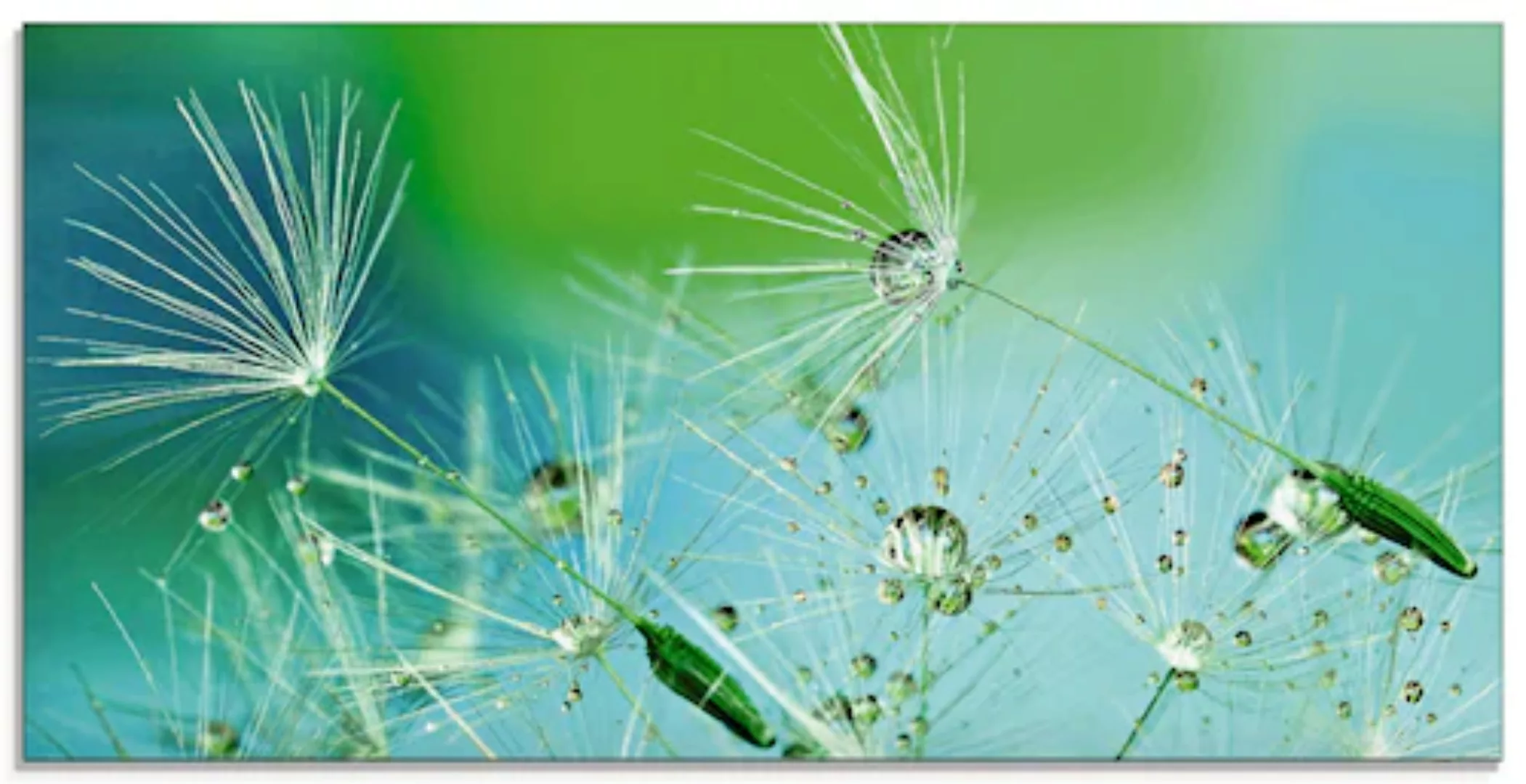 Artland Glasbild »Glitzernde Pustblumen mit Wassertropfen«, Blumen, (1 St.) günstig online kaufen