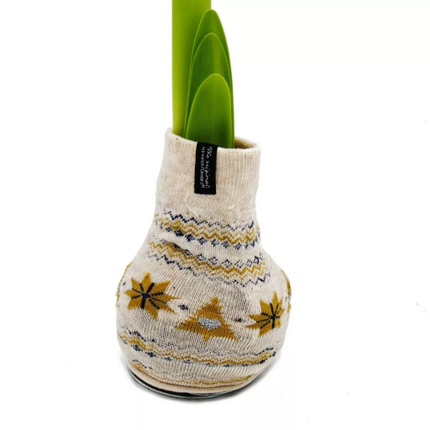 Exotenherz Amaryllis-Zwiebel in der Norweger-Socke Ritterstern Beige günstig online kaufen