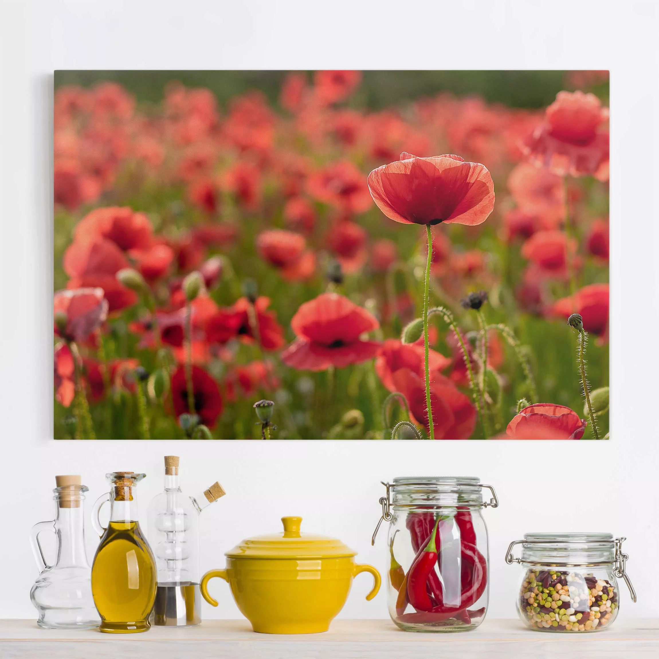 Leinwandbild Blumen - Querformat Mohnfeld im Sonnenlicht günstig online kaufen