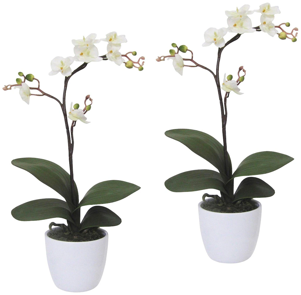 Creativ green Kunstpflanze "Orchidee Phalaenopsis", im Keramiktopf günstig online kaufen