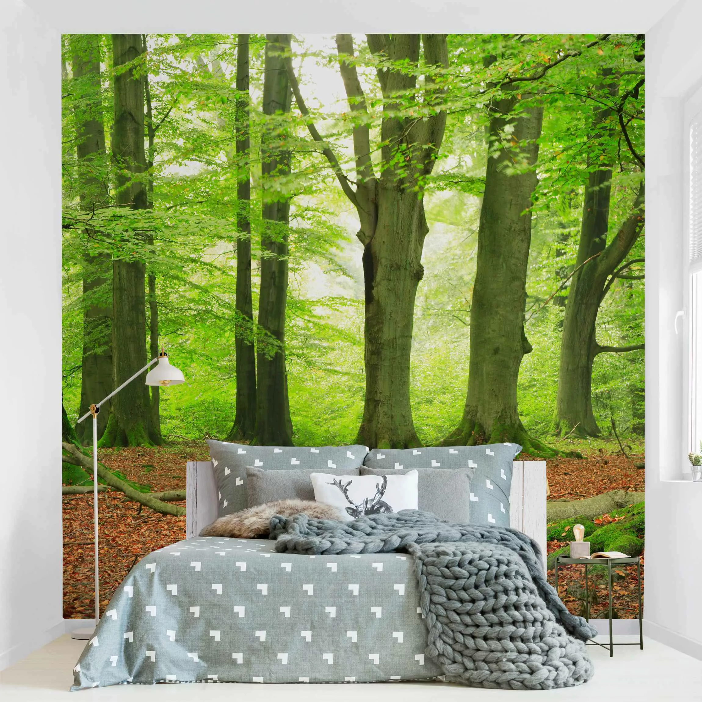Bilderwelten Fototapete Wald Mighty Beech Trees grün Gr. 384 x 255 günstig online kaufen