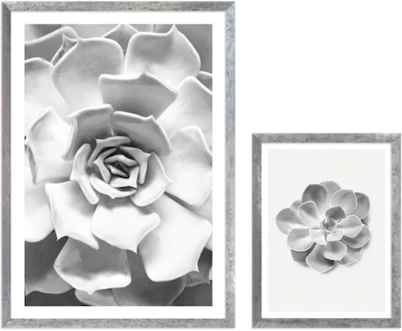 Komar Bild mit Rahmen »Succulent Aeonium«, (2 St.), maschinell günstig online kaufen