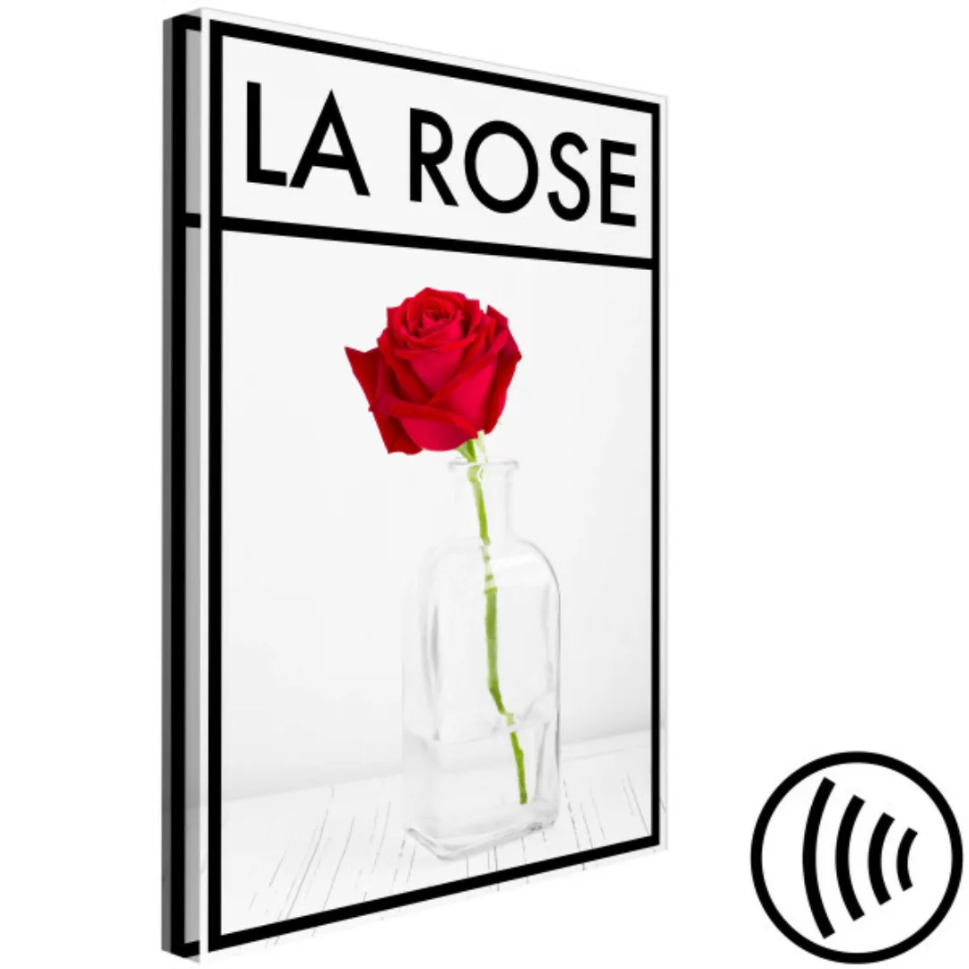 Wandbild Die Rose – Eine intensiv rote Rosenblüte in einer Vase auf hellgra günstig online kaufen