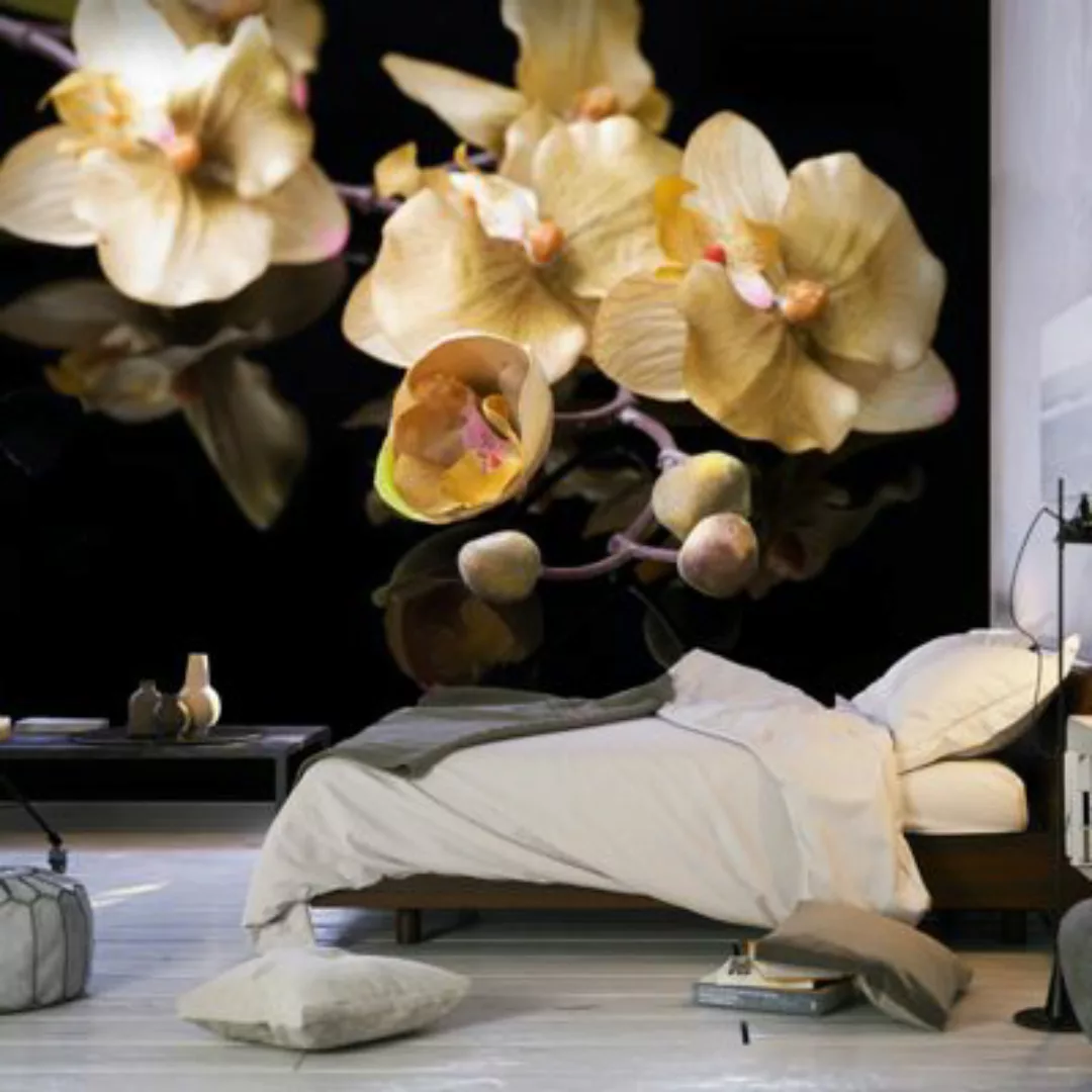 artgeist Fototapete Orchids in ecru color mehrfarbig Gr. 300 x 231 günstig online kaufen
