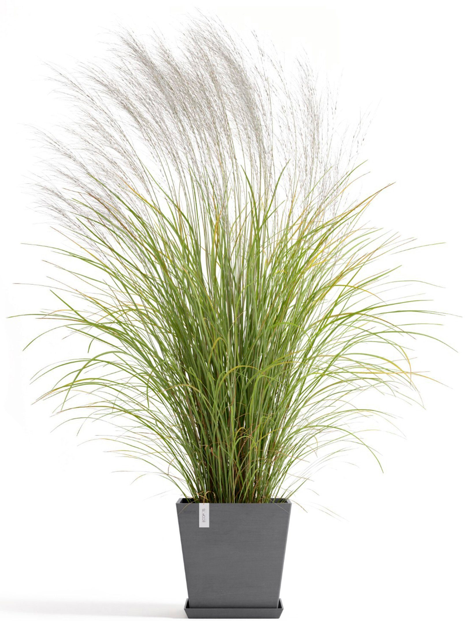 ECOPOTS Blumentopf Rotterdam 35 + Wassersystem günstig online kaufen