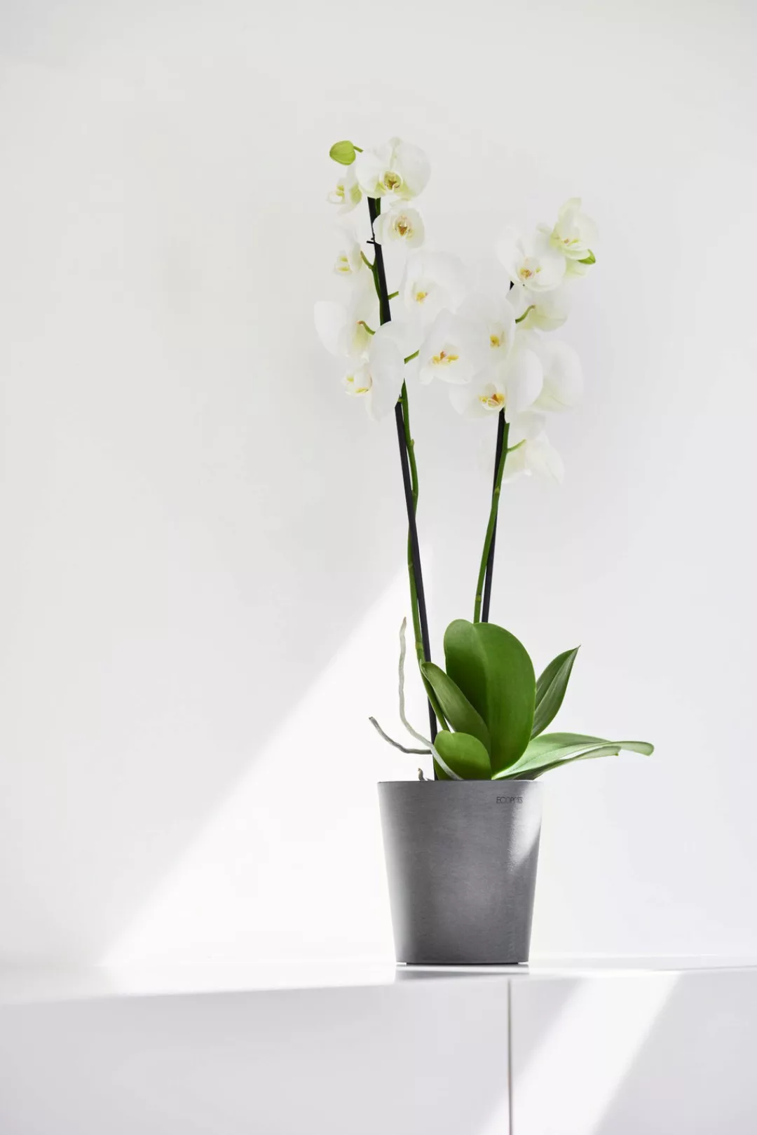 Ecopots Orchideentopf Morinda Grau 14 cm günstig online kaufen