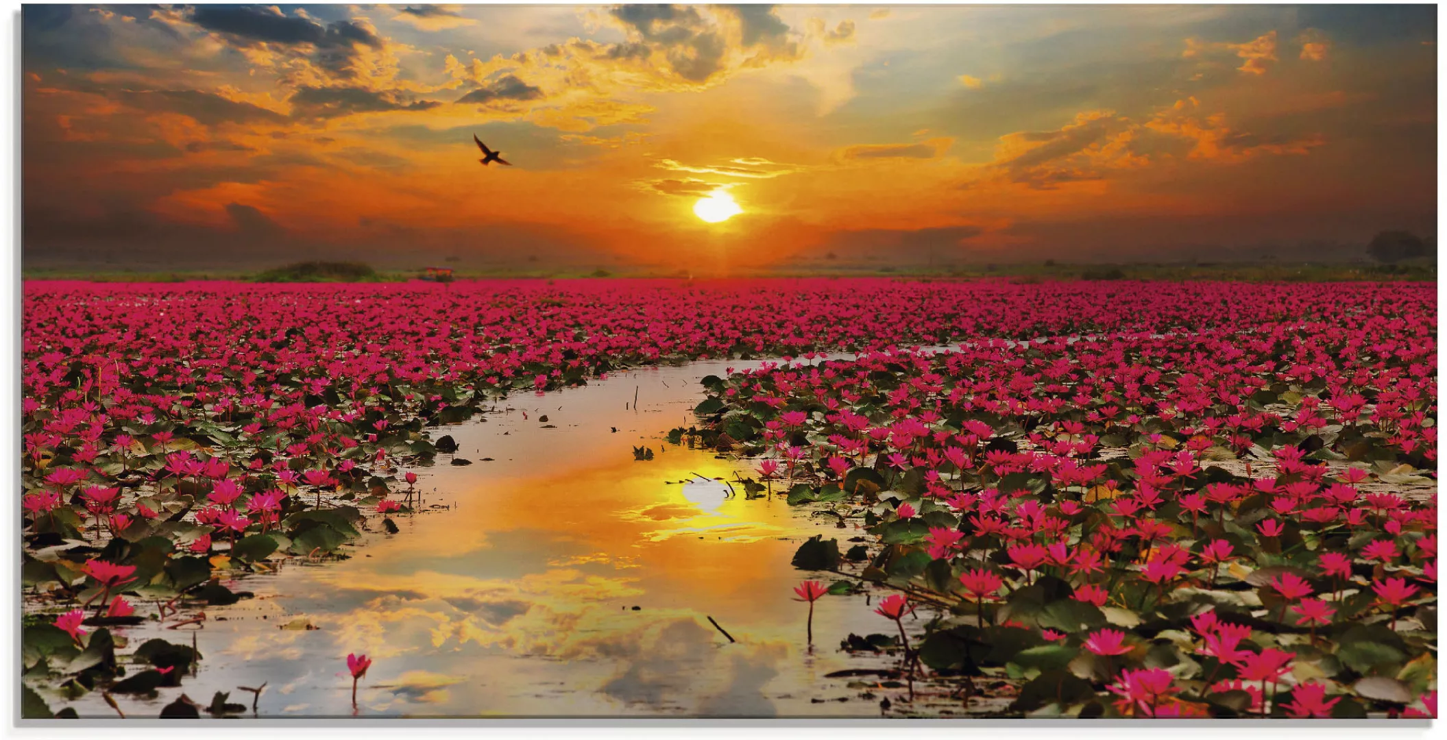 Artland Glasbild "Sonnenschein blühende Lotusblume", Blumen, (1 St.) günstig online kaufen