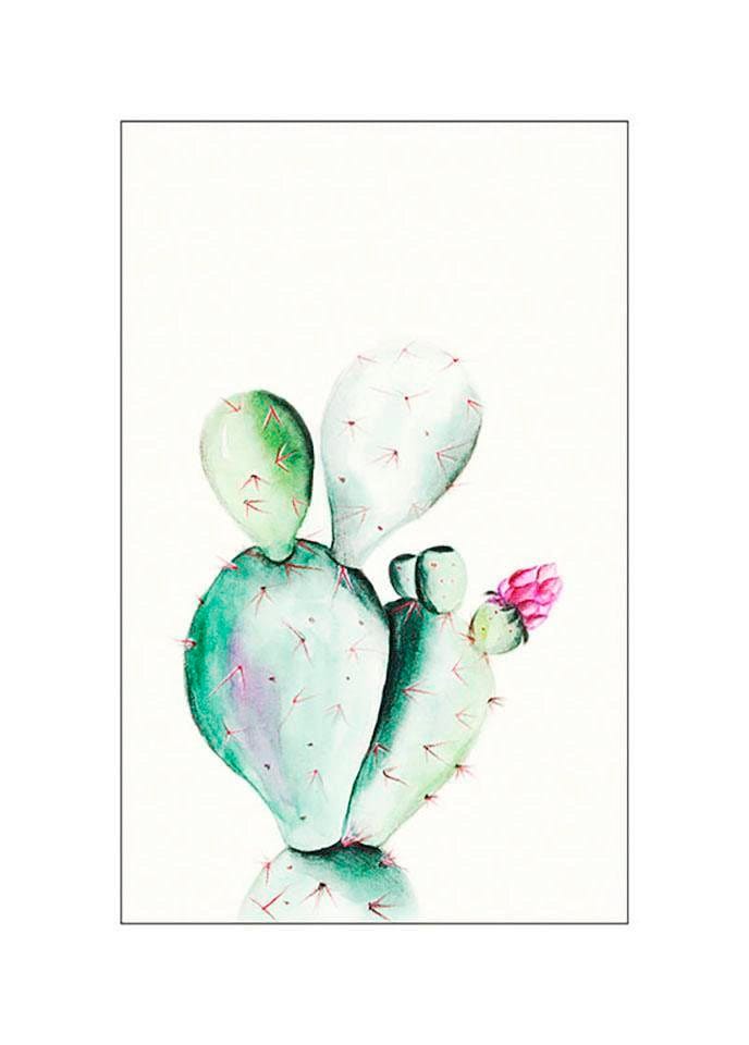 Komar Bild "Prickly Pear Watercolor", Pflanzen-Blätter, (1 St.), Wandbild z günstig online kaufen