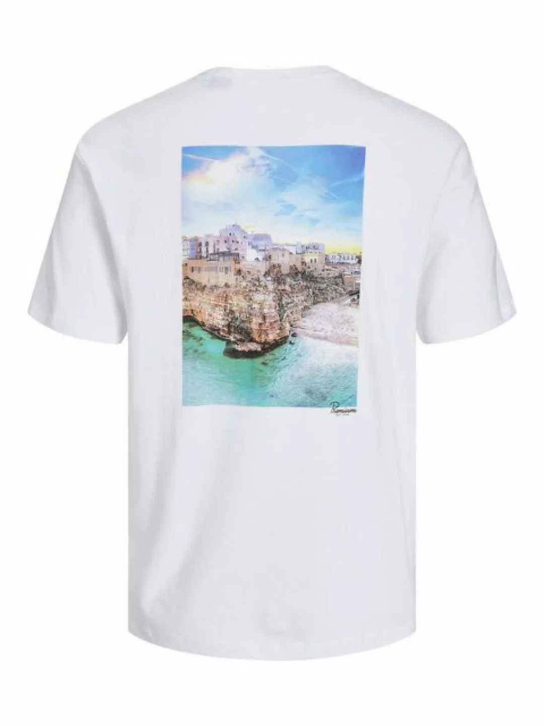 Jack & Jones T-Shirt JPRBLATOBI PHOTO PRINT SS TEE günstig online kaufen