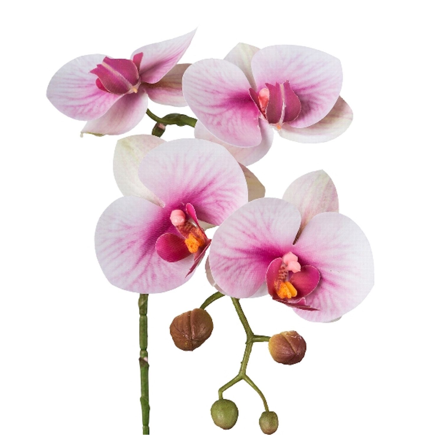 Kunstblume, Gasper, Höhe 40 cm, REAL günstig online kaufen