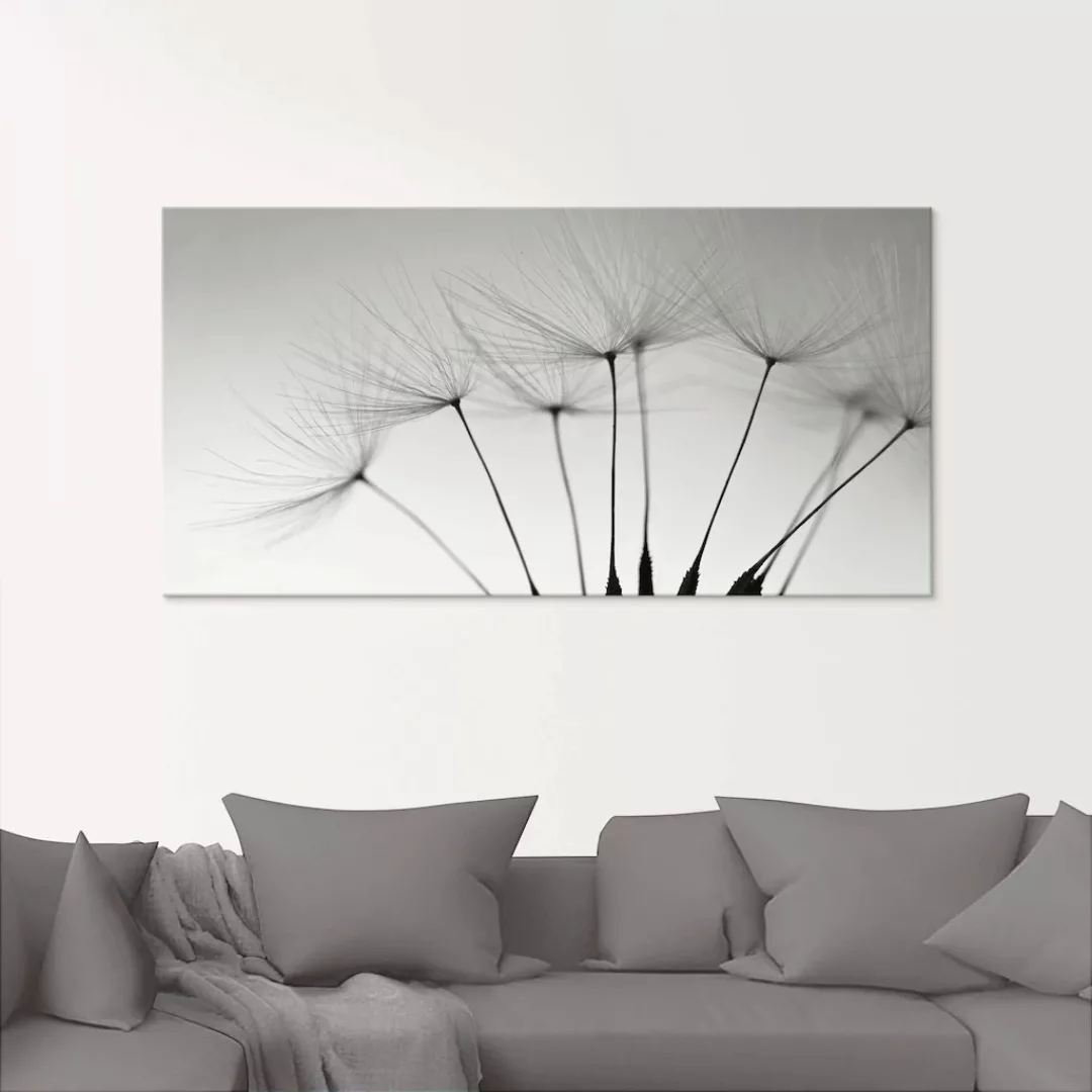 Artland Glasbild "Pusteblumen-Samen I", Blumen, (1 St.), in verschiedenen G günstig online kaufen