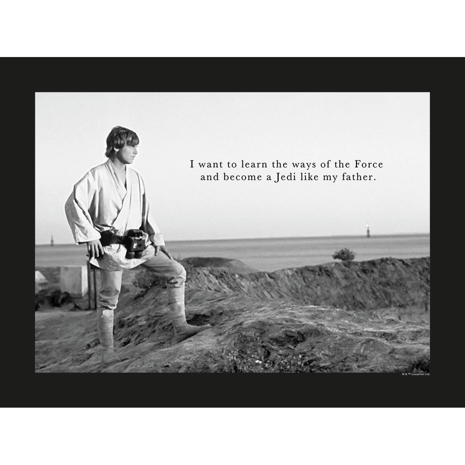 Disney Poster Star Wars Luke Skywalker Schwarz-Weiß 40 x 30 cm 610257 günstig online kaufen