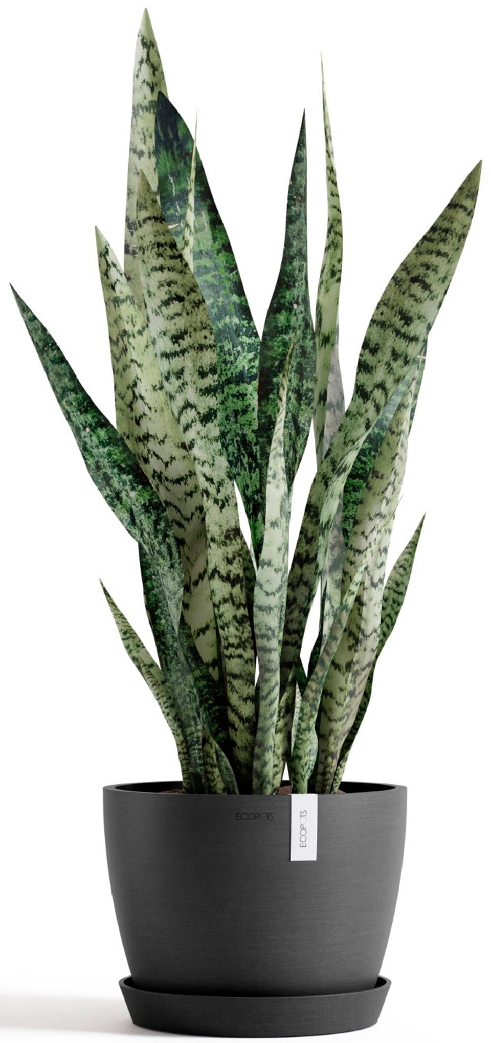 ECOPOTS Blumentopf Stockholm 24 Dunkelgrau, für günstig online kaufen