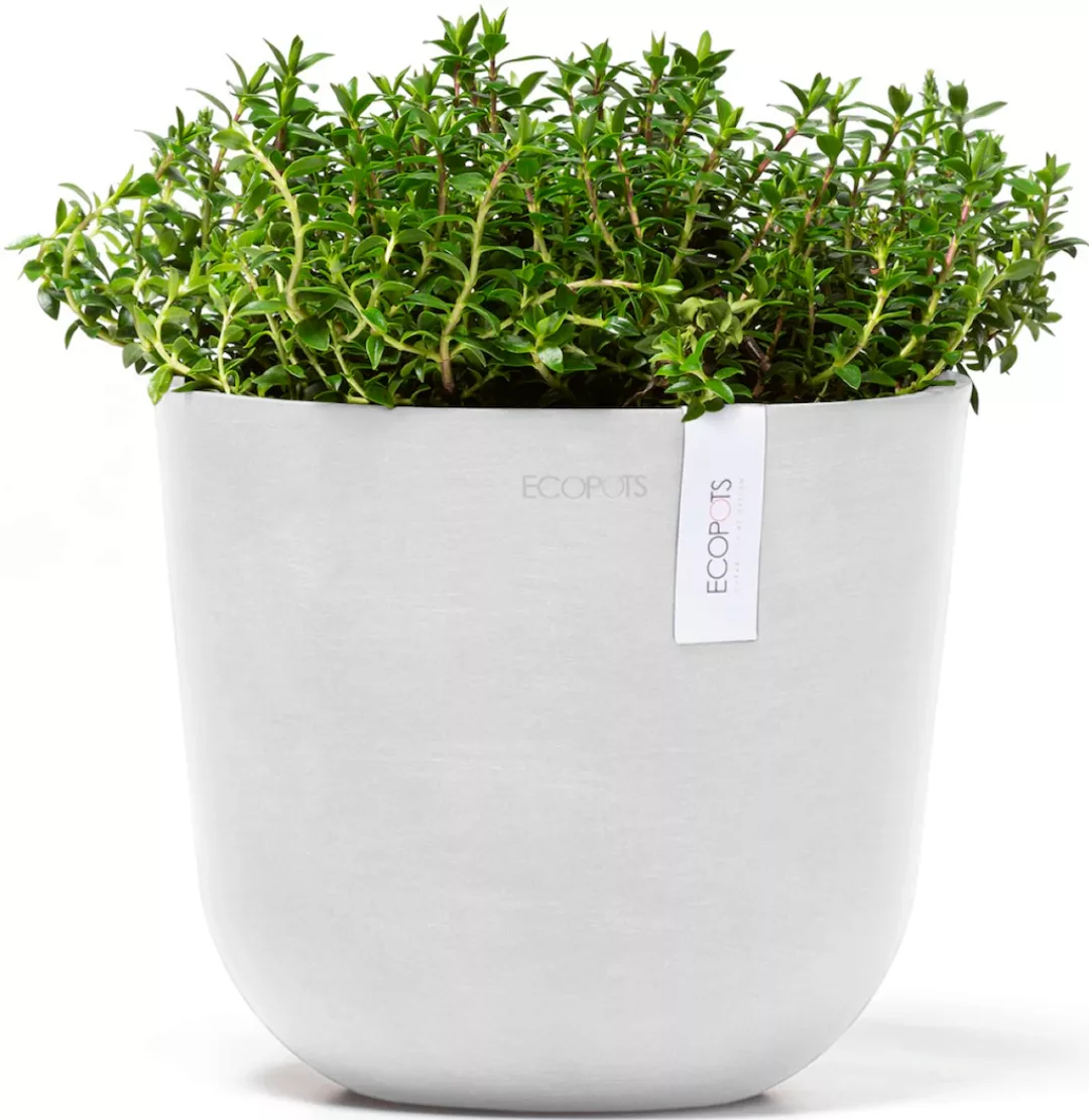 ECOPOTS Blumentopf "Oslo Mini 19 Weiß", für den Innenbereich günstig online kaufen